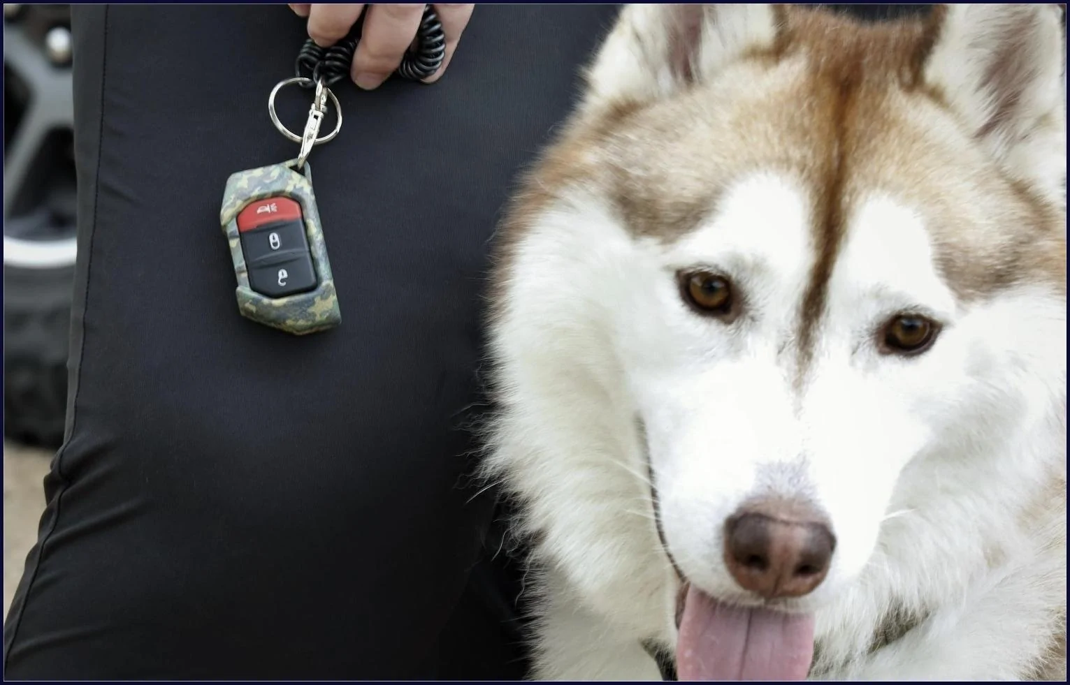 Jeep Gladiator Let’s see your pets cause they are the best companion you can have!!!!! ;ltiyyt