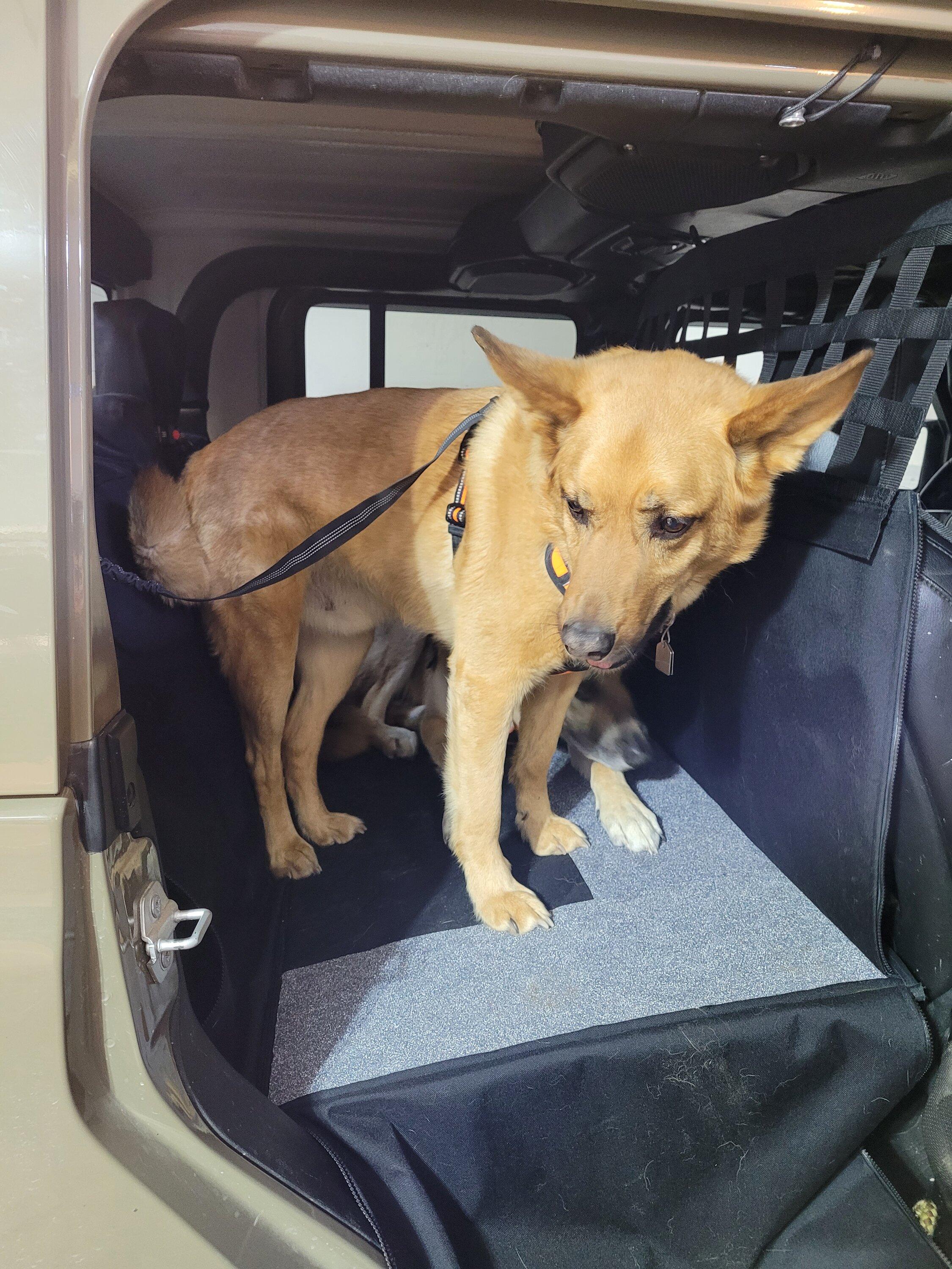 Jeep Gladiator Rear Seat Dog bed? Dog Hammock (6)