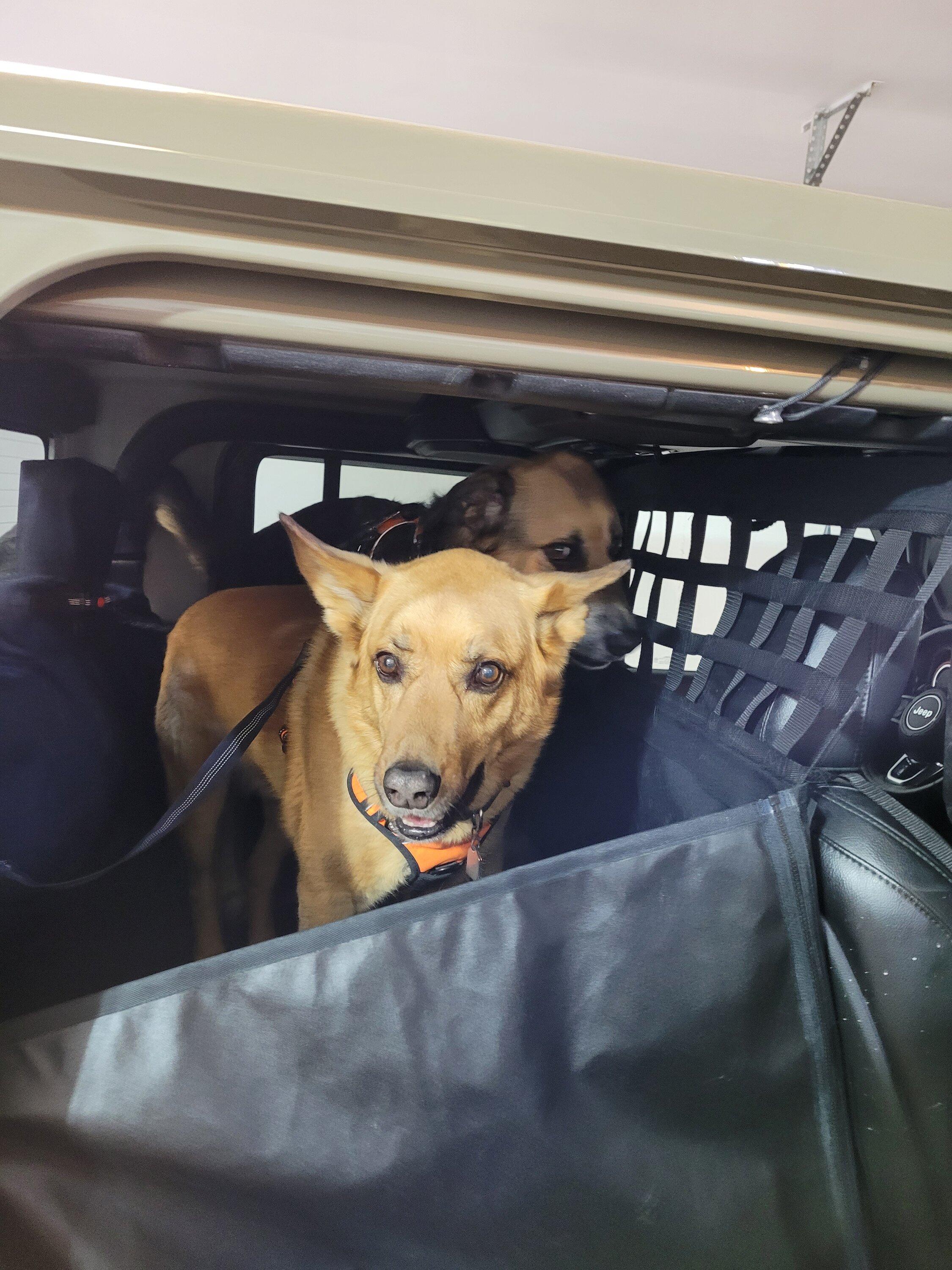 Jeep Gladiator Rear Seat Dog bed? Dog Hammock (7)