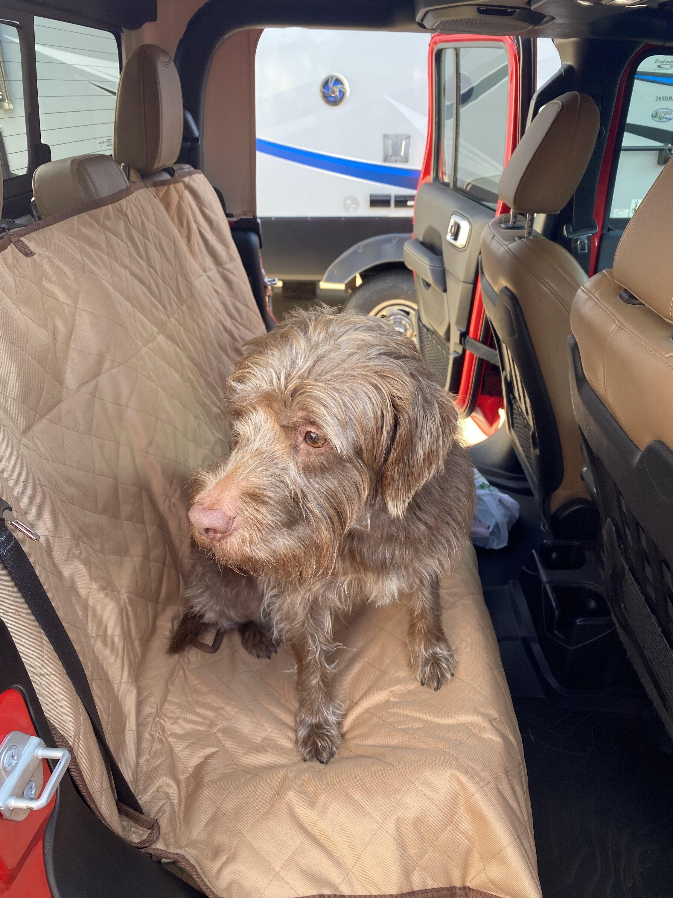 Jeep Gladiator Carhartt universal rear bench cover...anyone have them in your JT? F91EA340-5994-43FA-8D8B-1DB710F88D63