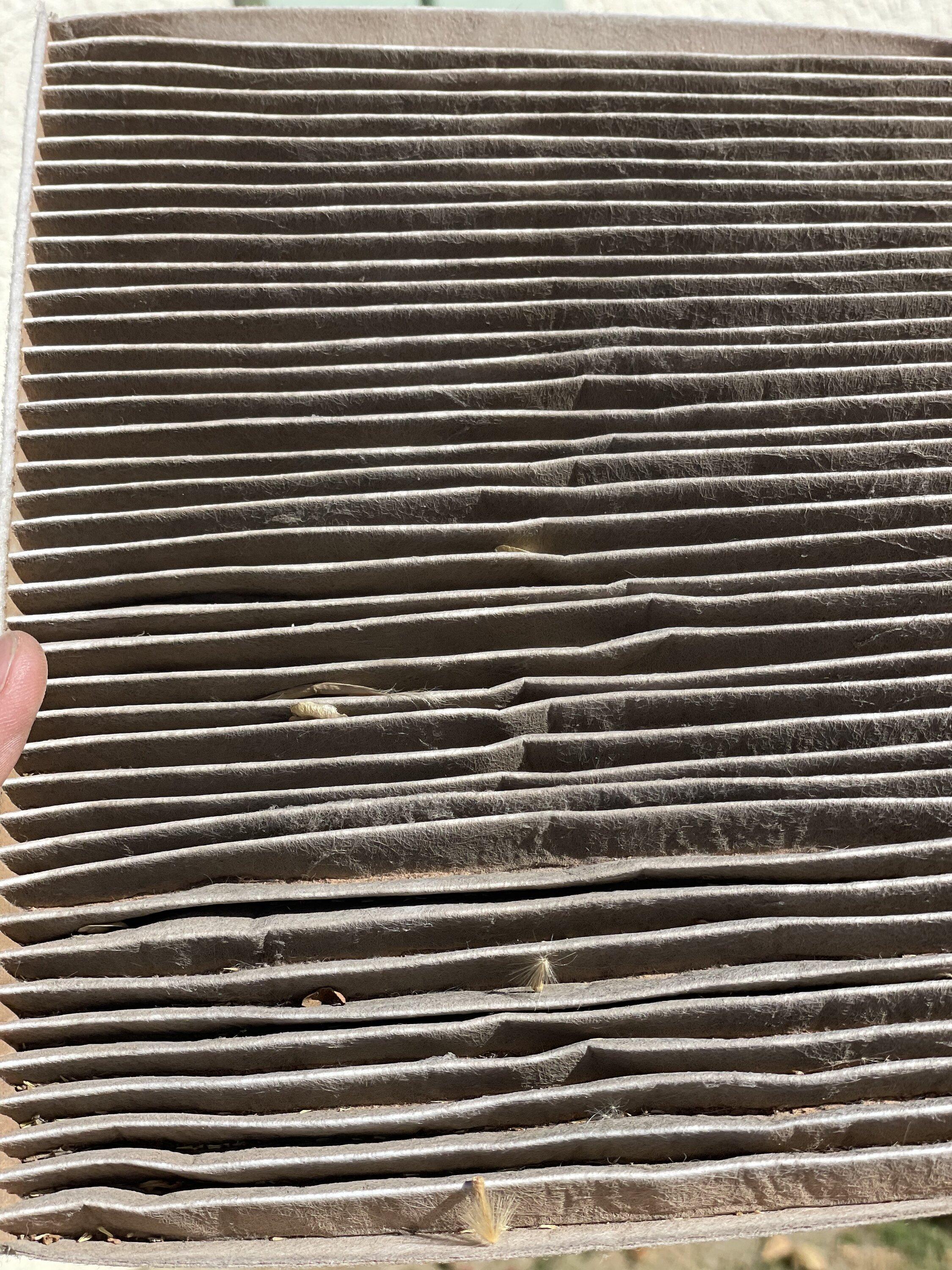Jeep Gladiator Check Your Cabin Air Filter! 161D73EE-4295-47BD-9C7F-2436C2FCD09D