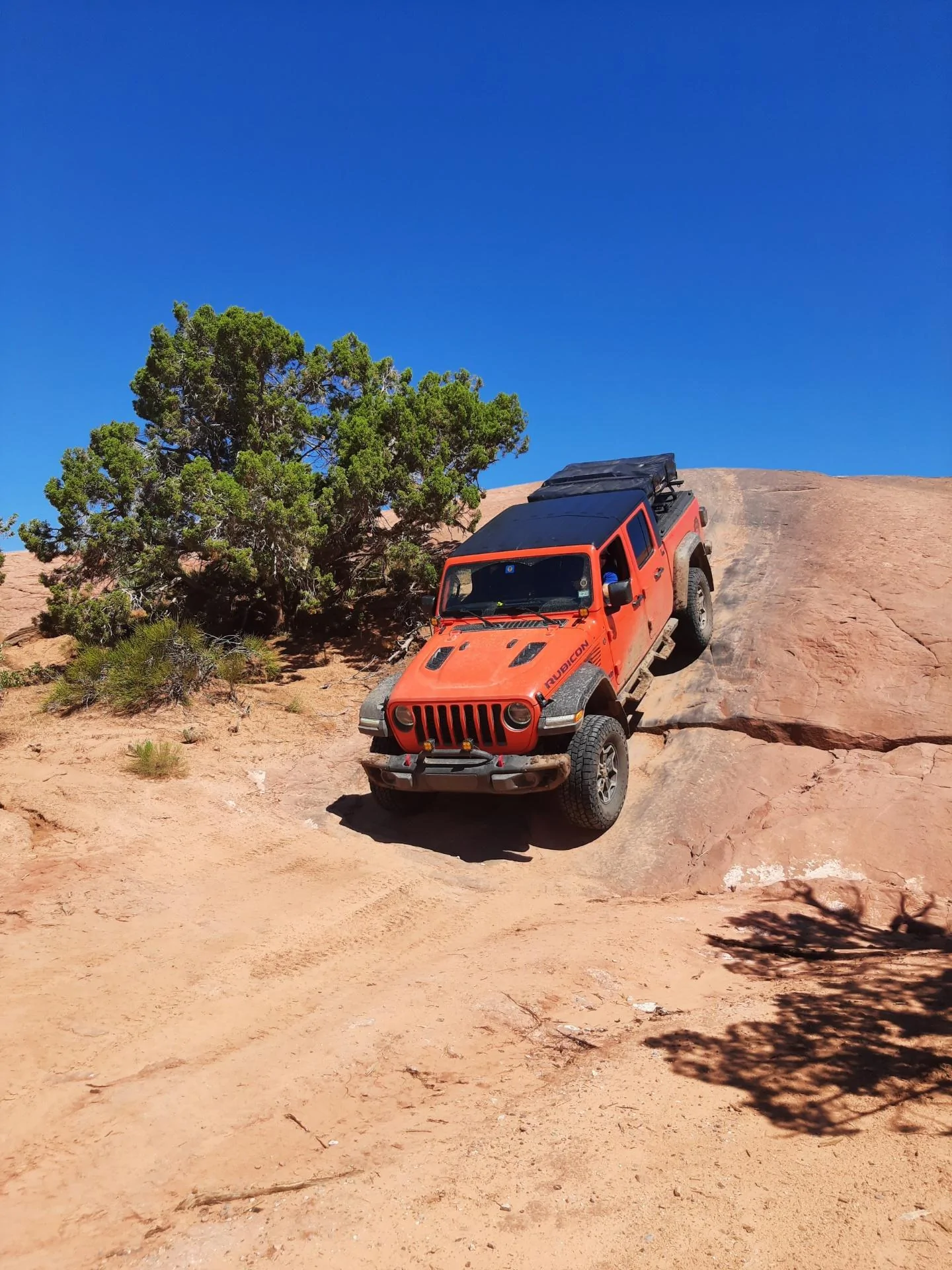 Jeep Gladiator What did you do TO your Gladiator today? [ADMIN WARNING: NO POLITICS, NO GUN TALK] 123_1(16)