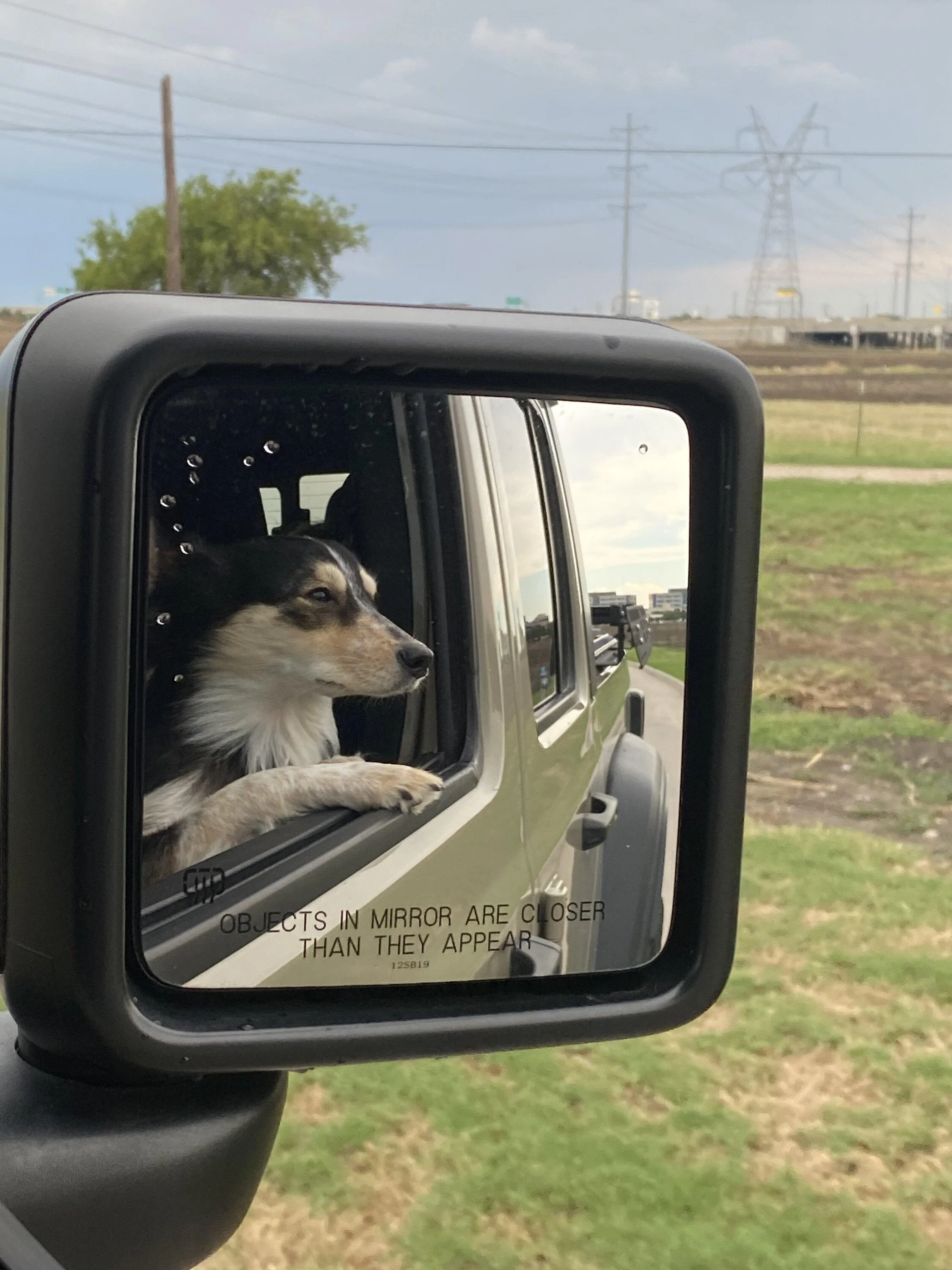 Jeep Gladiator Let’s see your pets cause they are the best companion you can have!!!!! 9E9CFED9-B79B-4051-9A49-AD5DBE2517EB