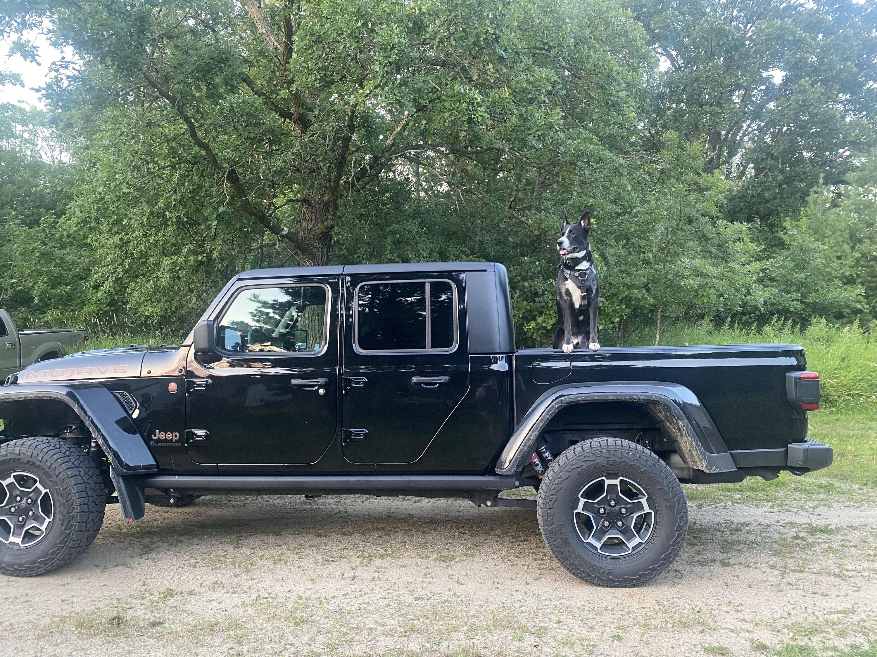 Jeep Gladiator AEV 2" spacer lift for Mojave Gladiator 0AD40819-732F-4A34-8B5E-D607A978D34B