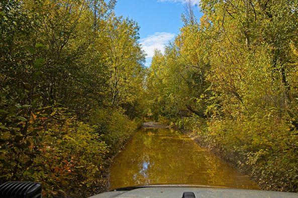 Jeep Gladiator Where did you WHEEL your Gladiator today? water crossing Buffalo mine