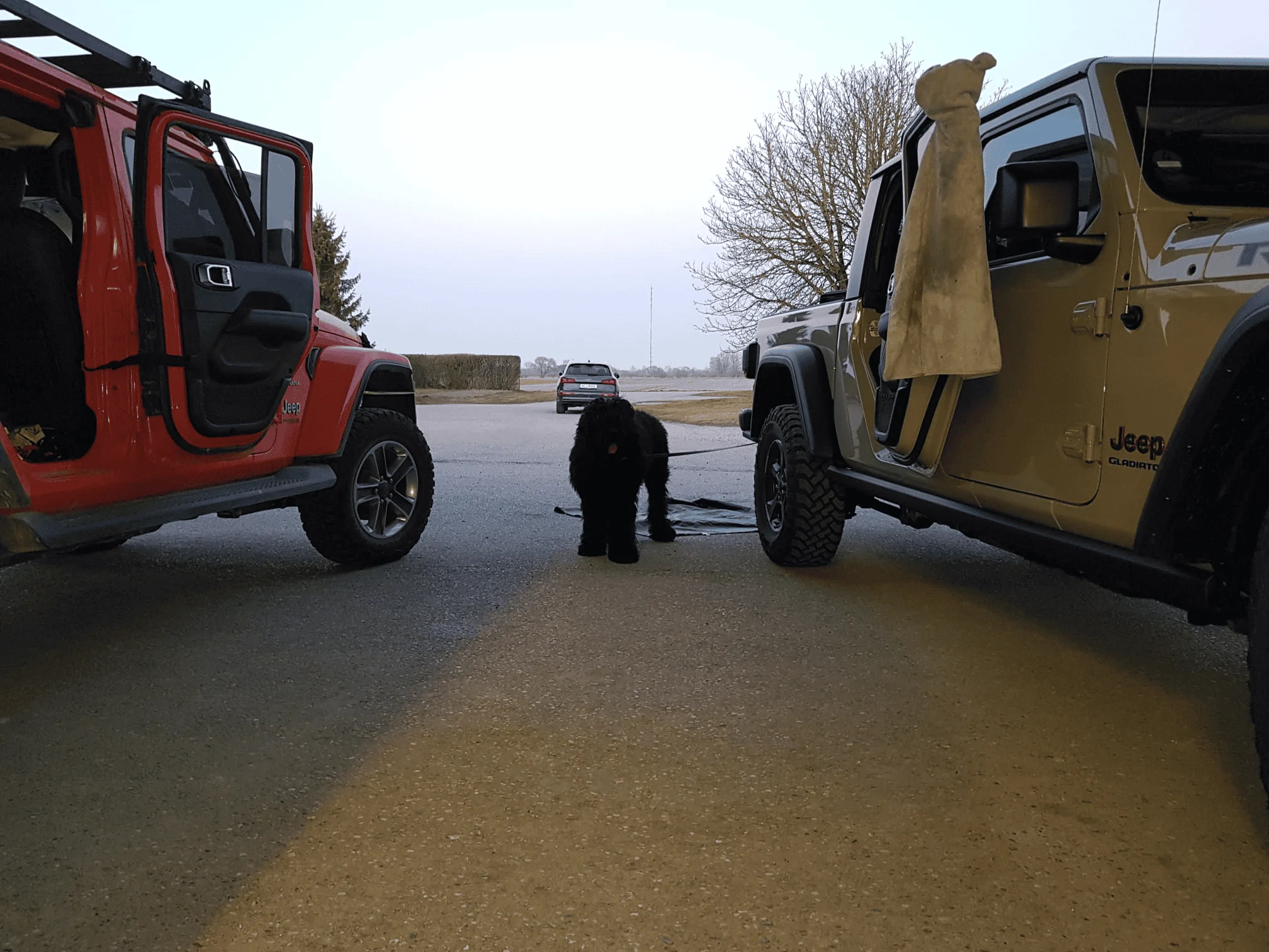 Jeep Gladiator Ruffland Kennel For Your Dog 1663151809649