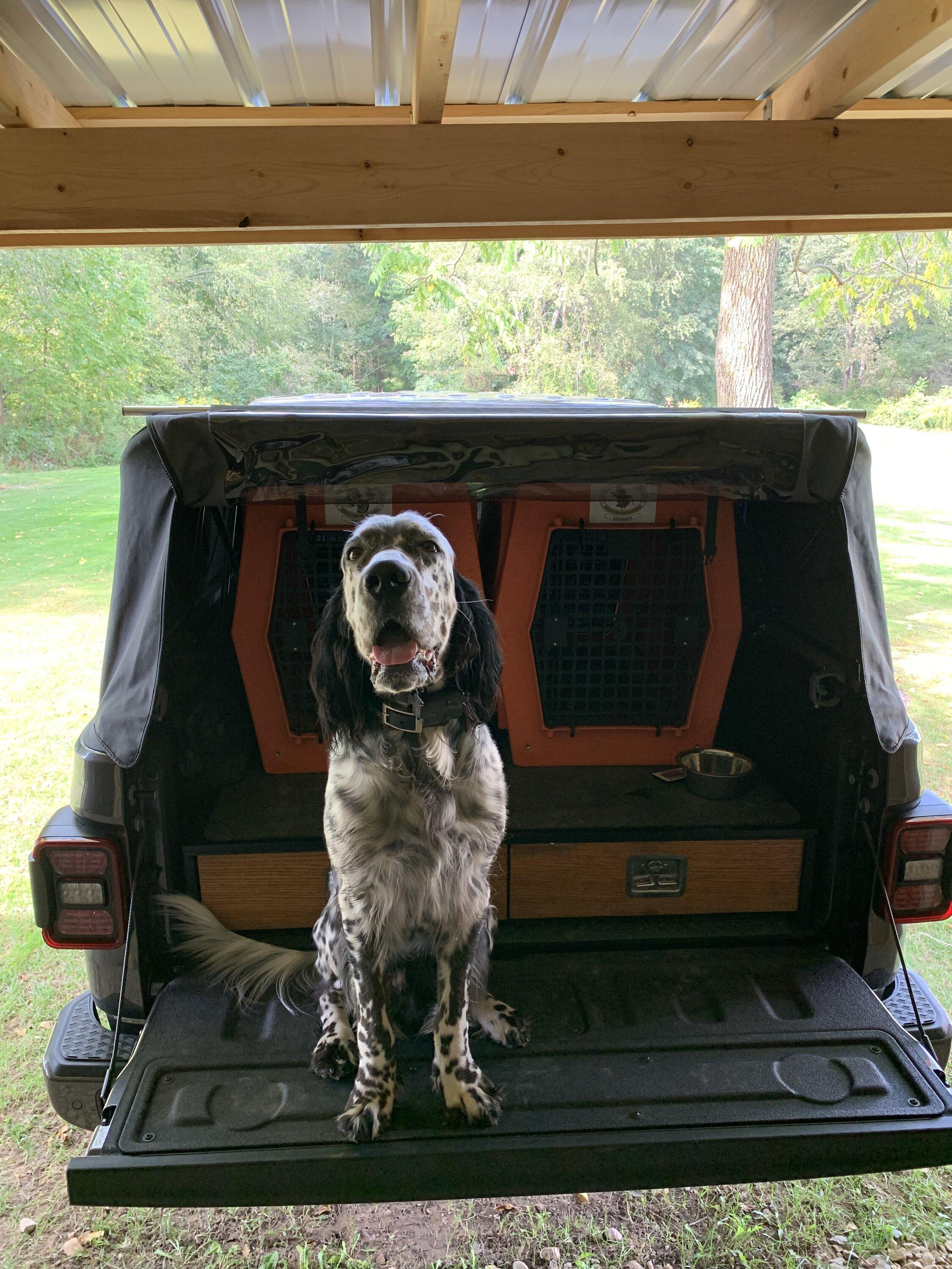 Jeep Gladiator Ruffland Kennel For Your Dog 92DAC298-675C-4A08-A783-2C97838D7C0A