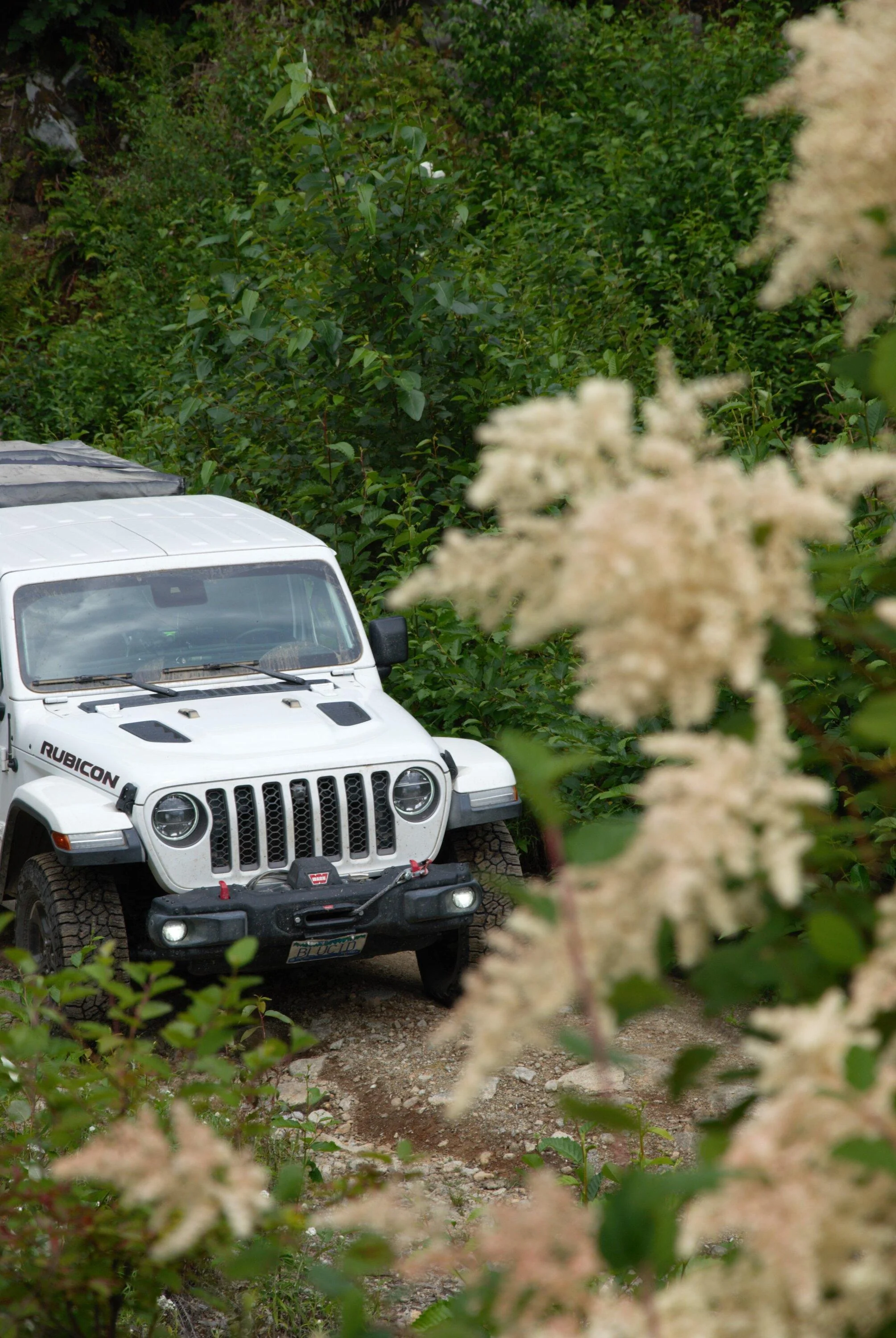 Jeep Gladiator #teamGF #CDR - JT Gladiator Overland Build (Blucid) DSC_0529
