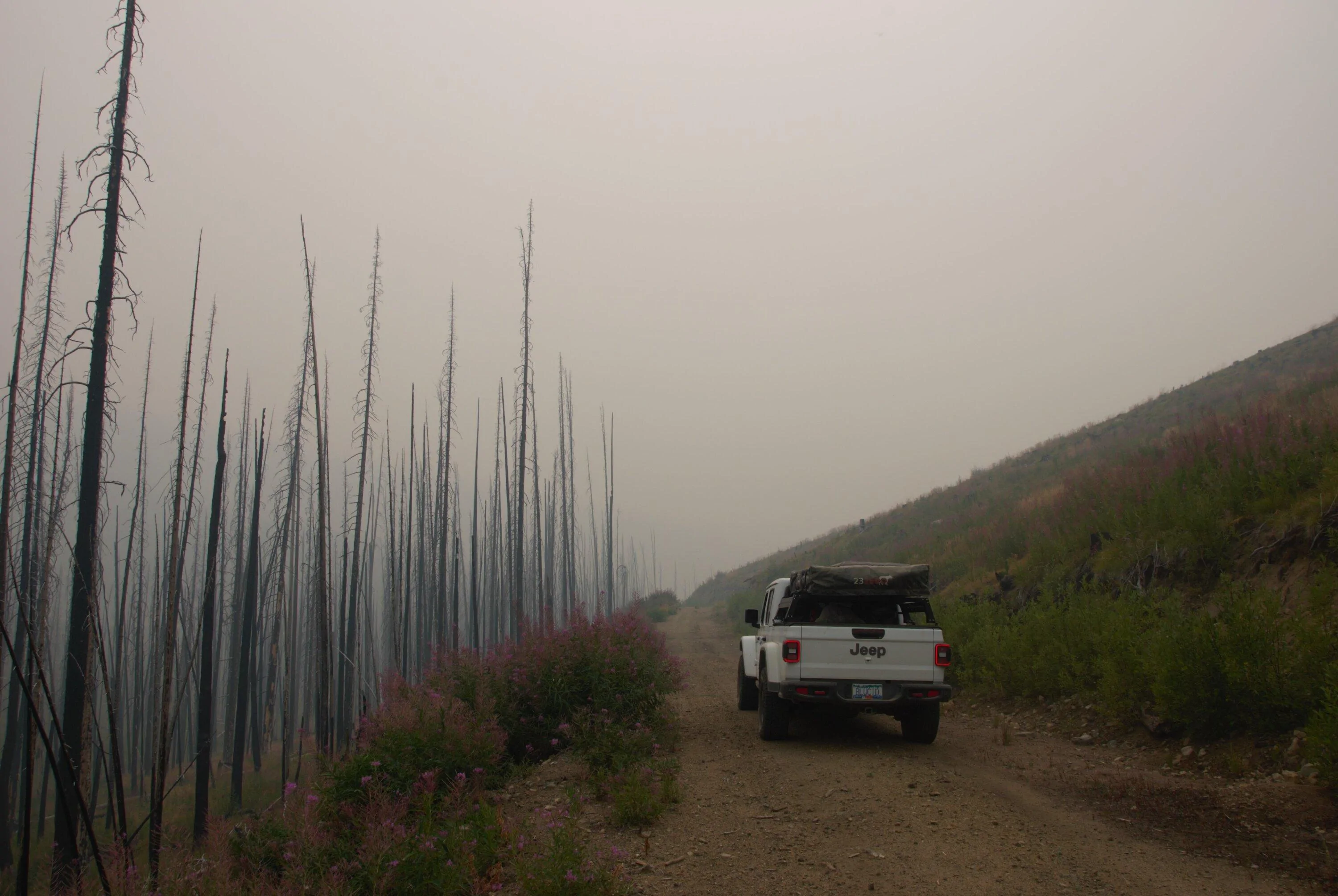 Jeep Gladiator #teamGF #CDR - JT Gladiator Overland Build (Blucid) DSC_0167