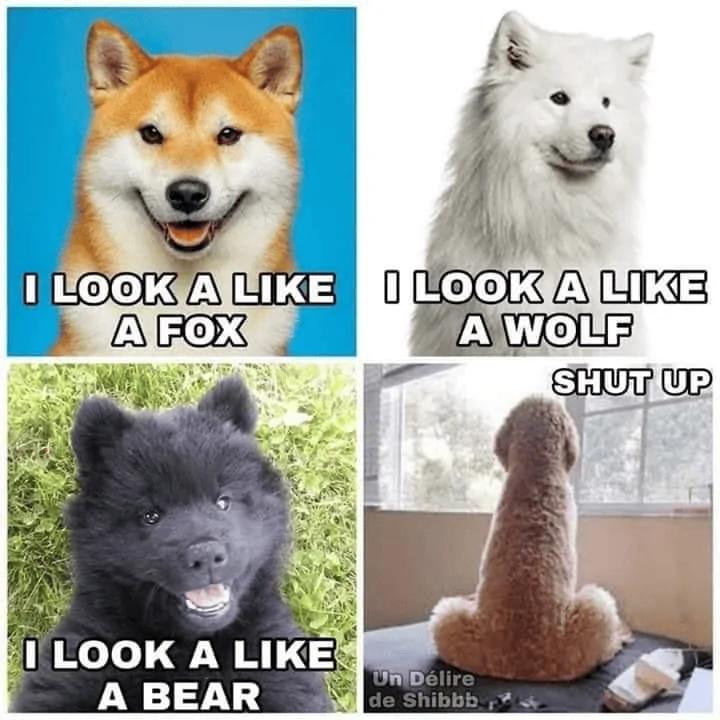 Jeep Gladiator O 1663327130101