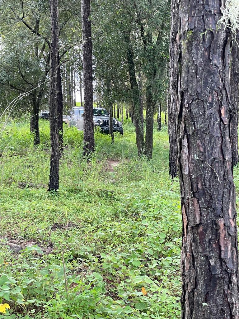 Jeep Gladiator Where did you WHEEL your Gladiator today? IMG-20220917-WA0006