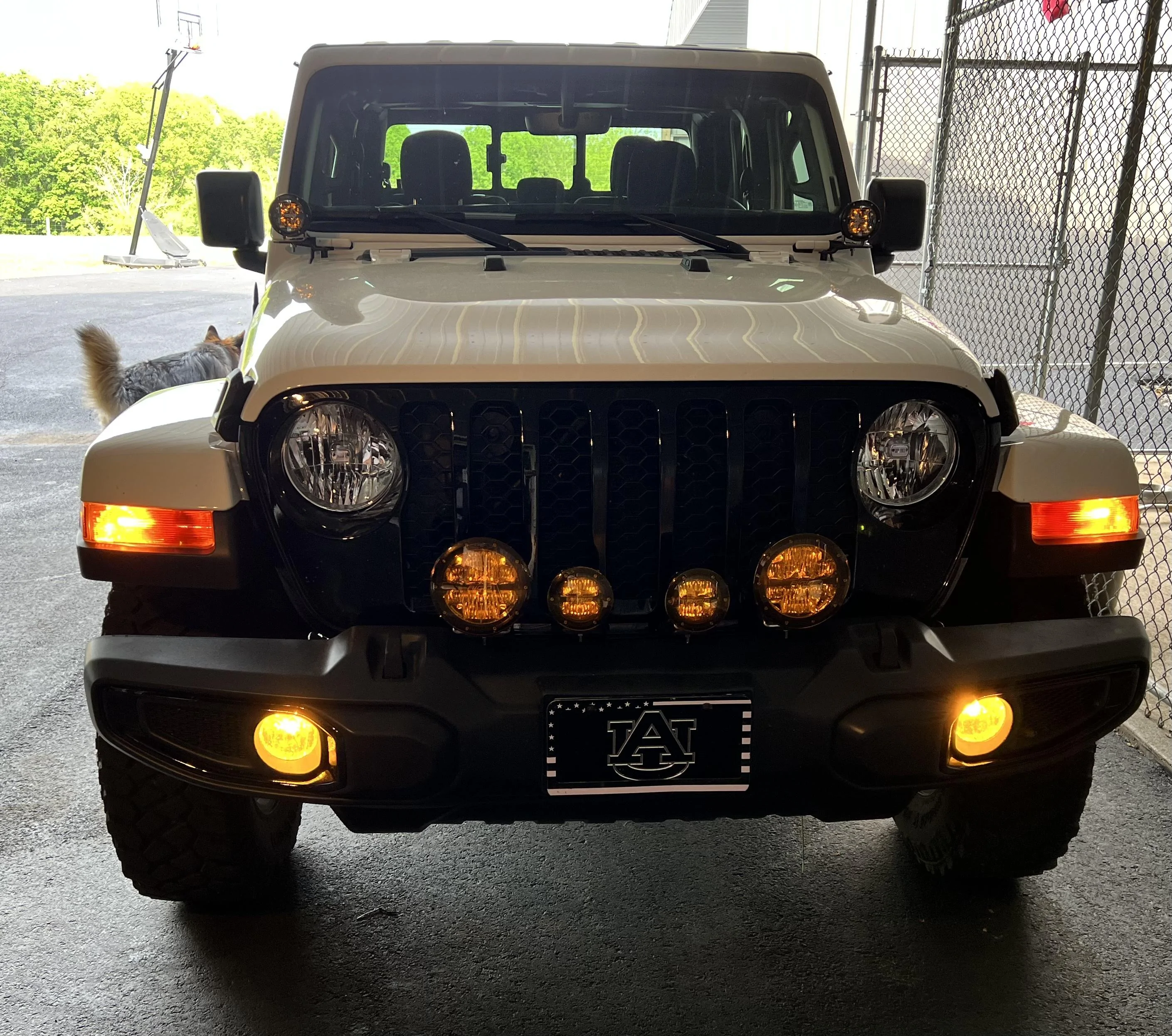 Jeep Gladiator Rigid Industries Lights 21746EA7-97D4-4C1C-B323-EFBDA05A7AD4