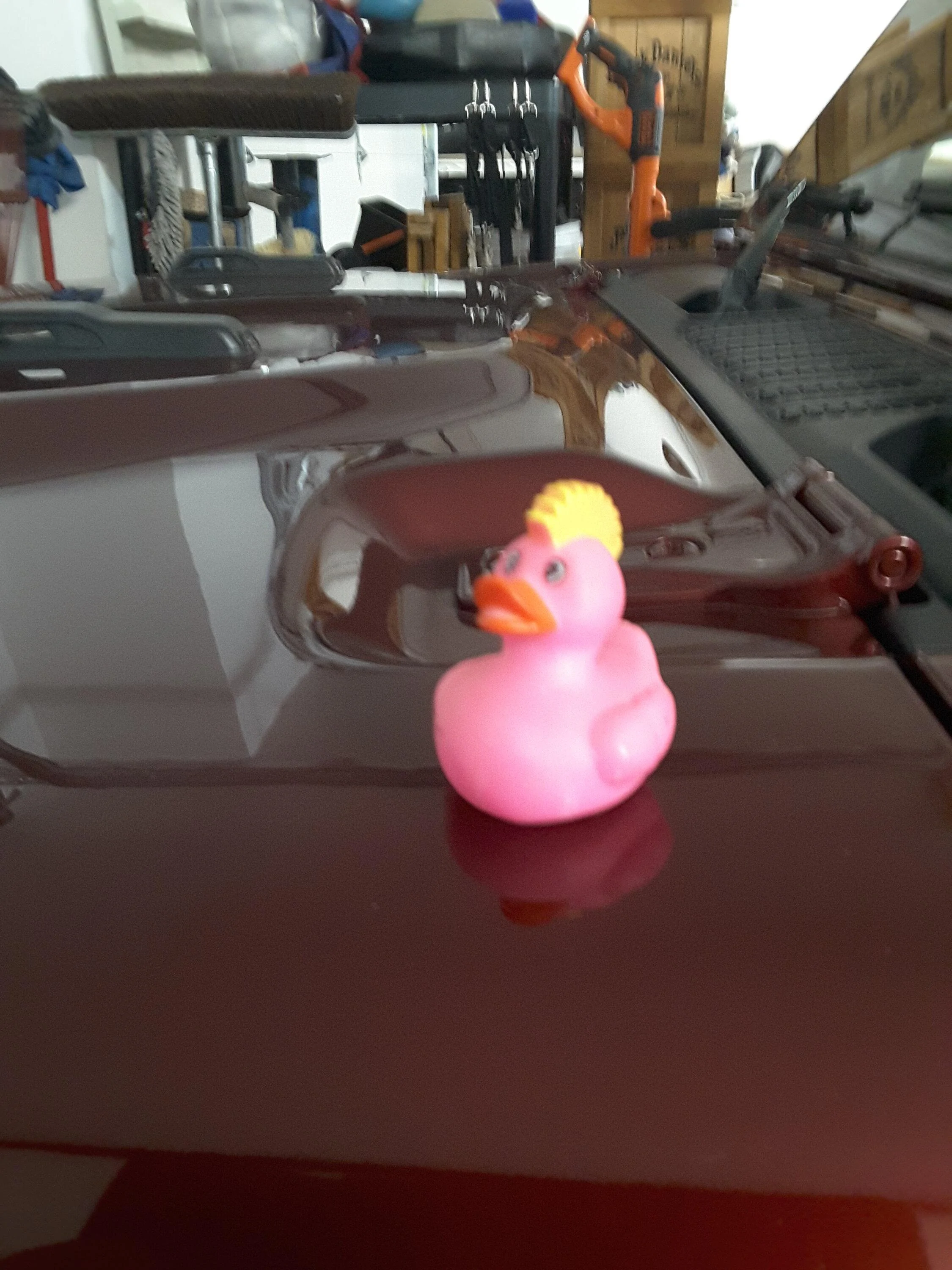 Jeep Gladiator Show me your DUCKS ! 20220918_202228
