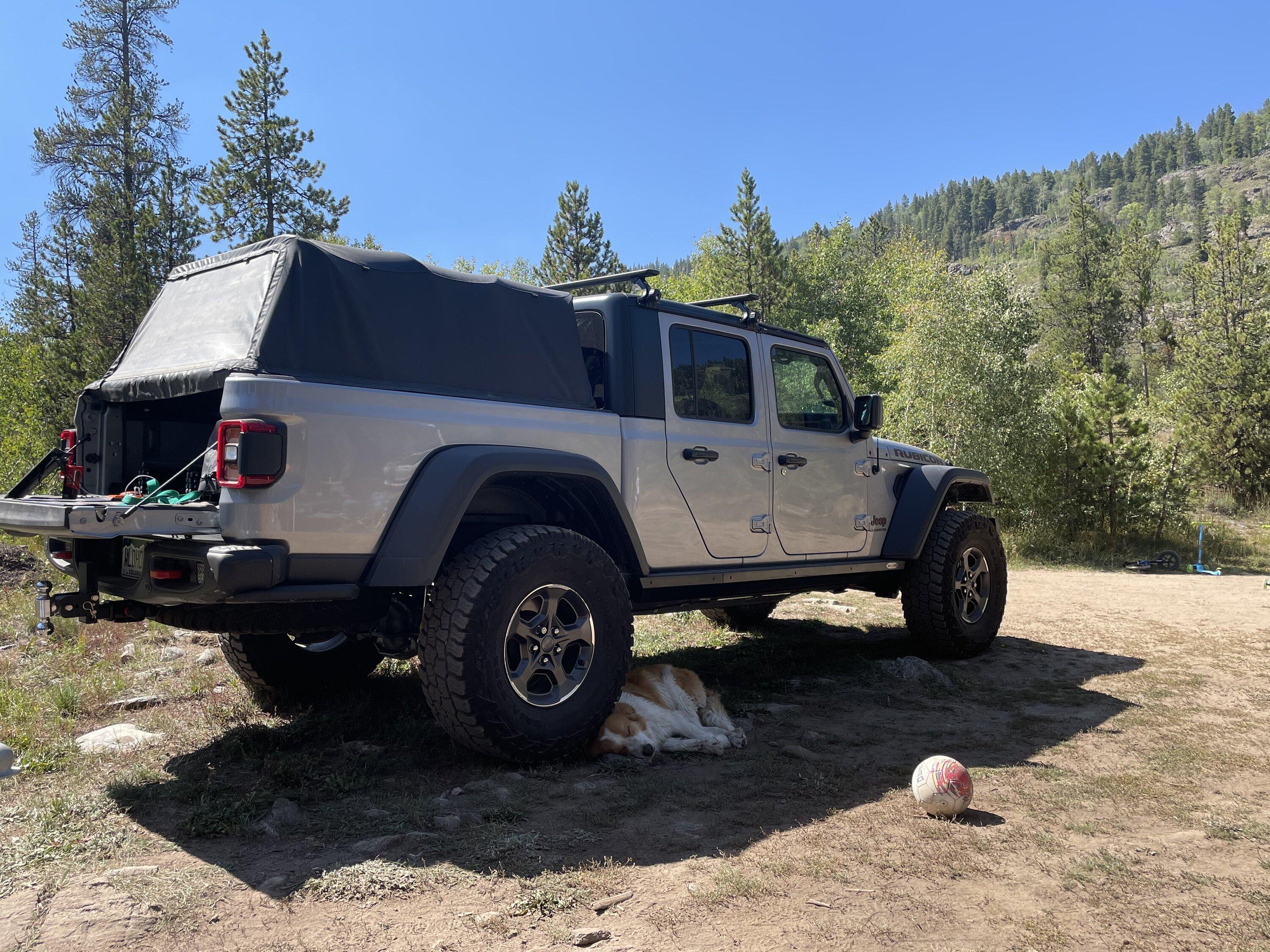 Jeep Gladiator Glad(iator) Dogs! Let's see 'em! 787224BE-B4DC-4153-BADB-4A62498F364B