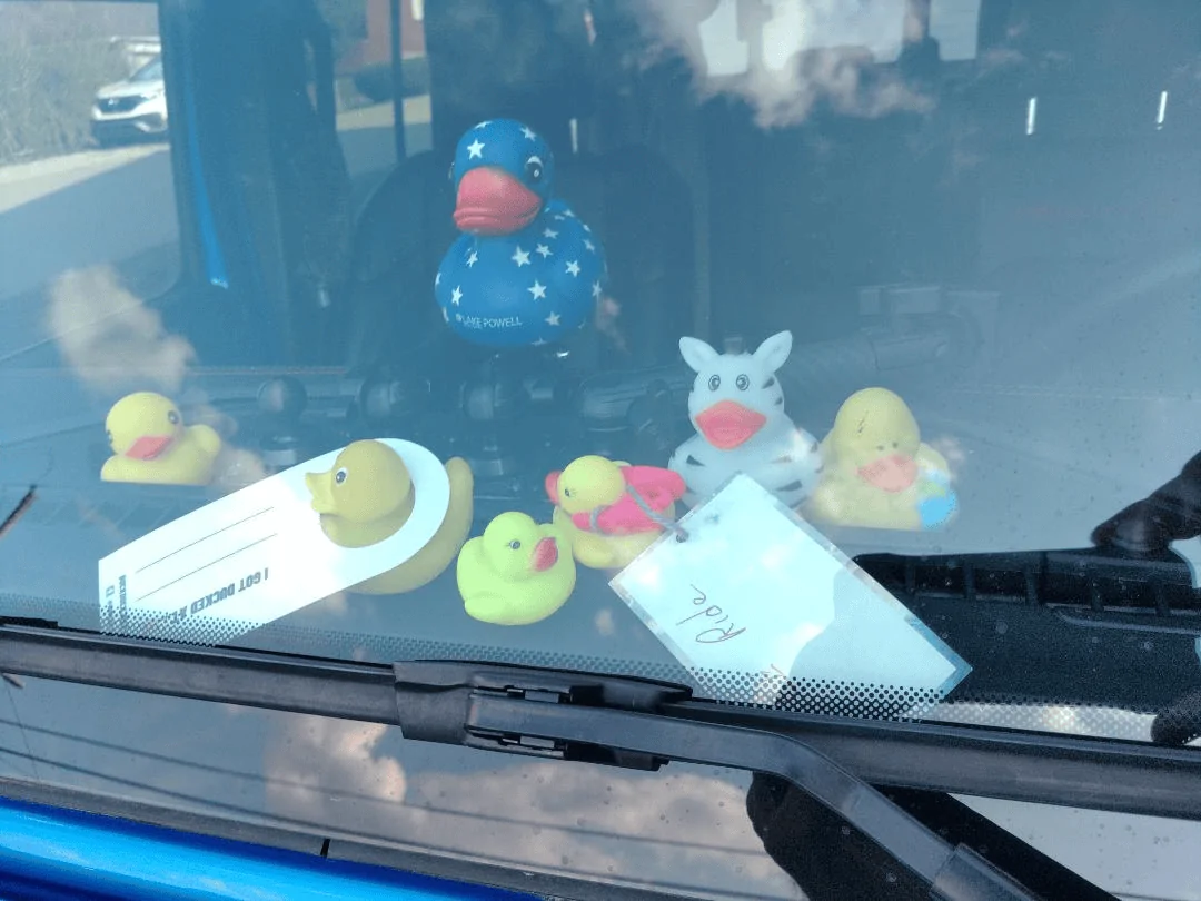 Jeep Gladiator Show me your DUCKS ! 1663560921235