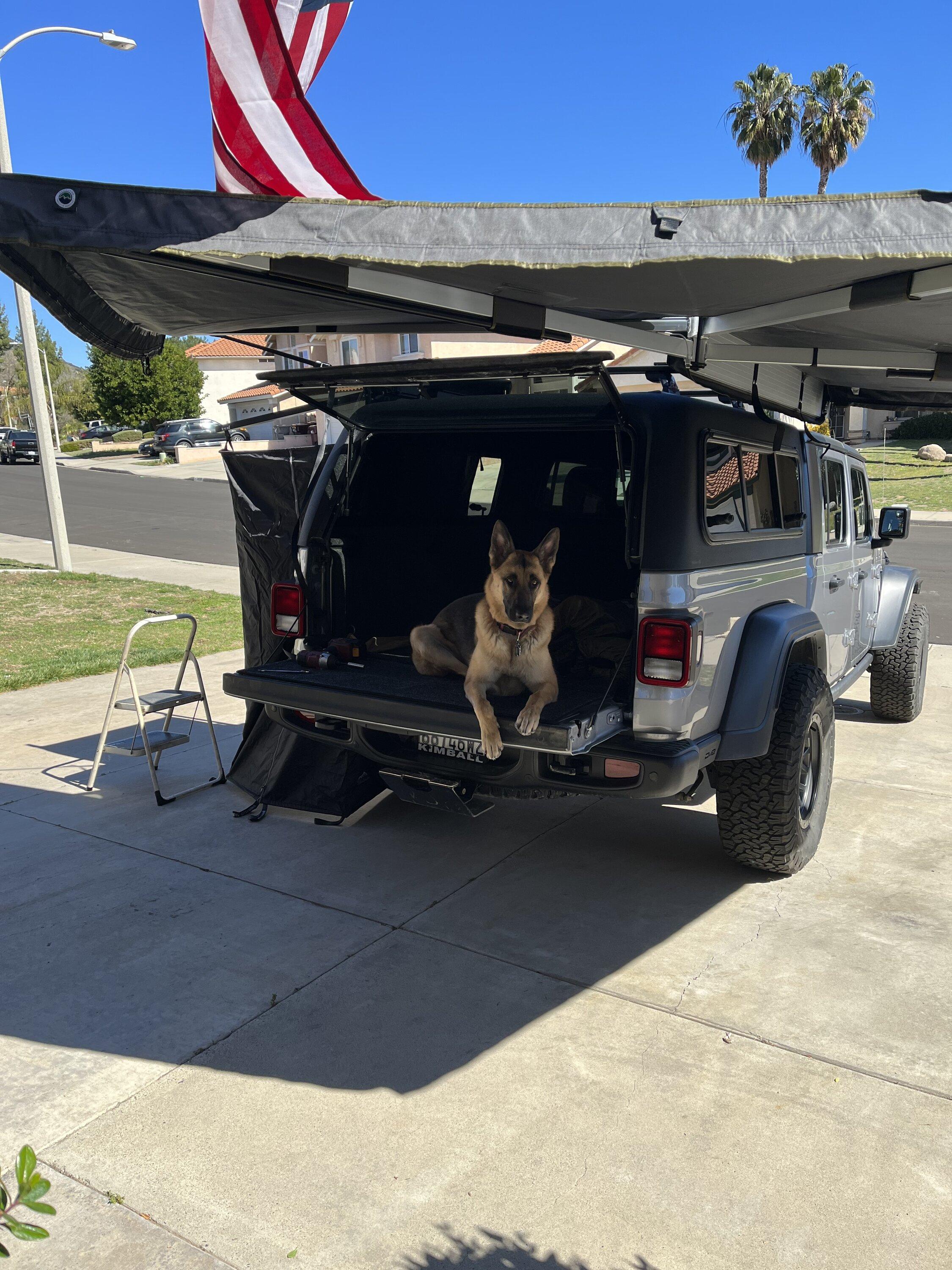 Jeep Gladiator Finally got my Bedrug and it's awesome! tempImagevpDClv
