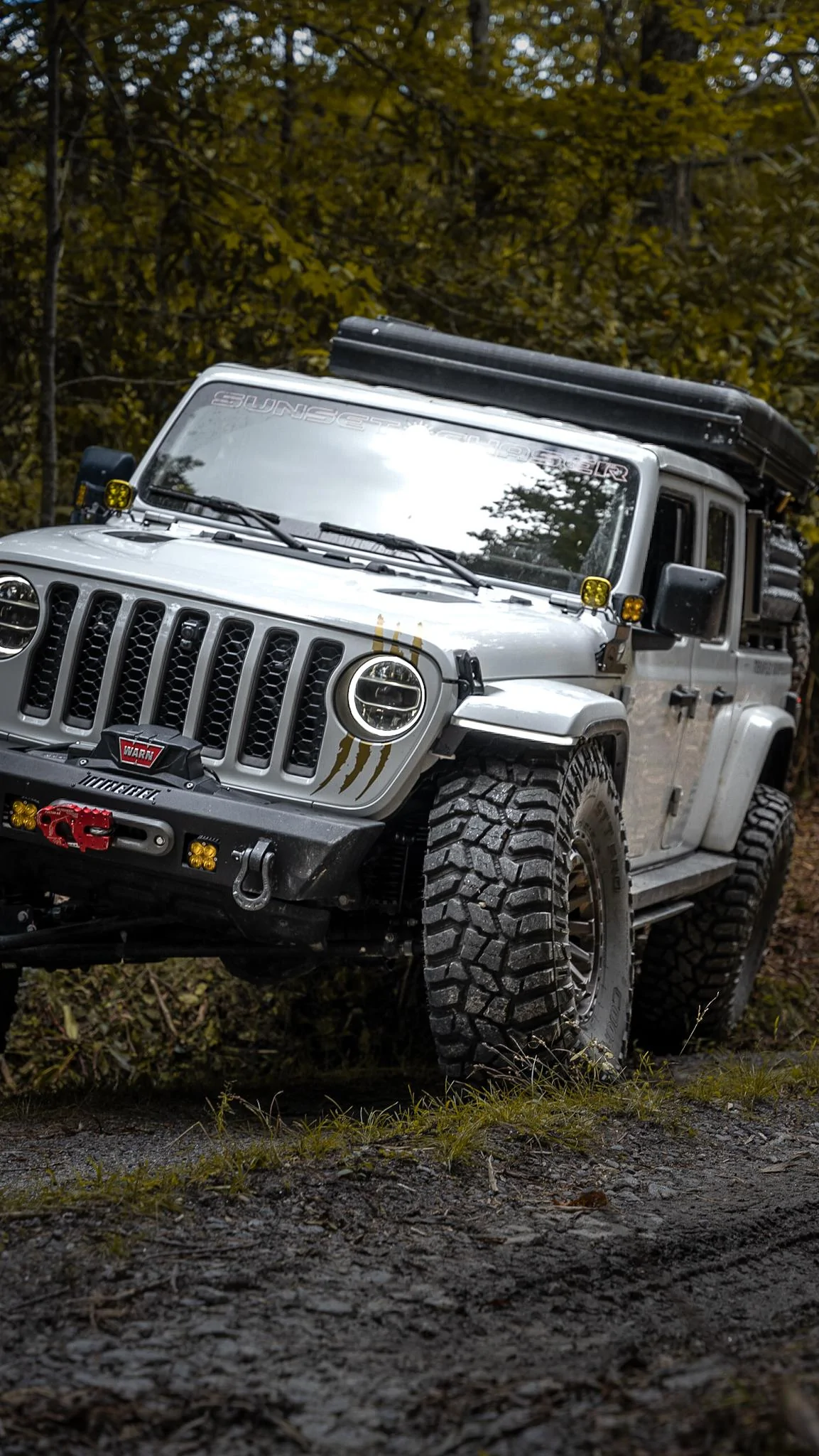 Jeep Gladiator Lights for ditch, sides, and rear (Baja Designs) DSC03731