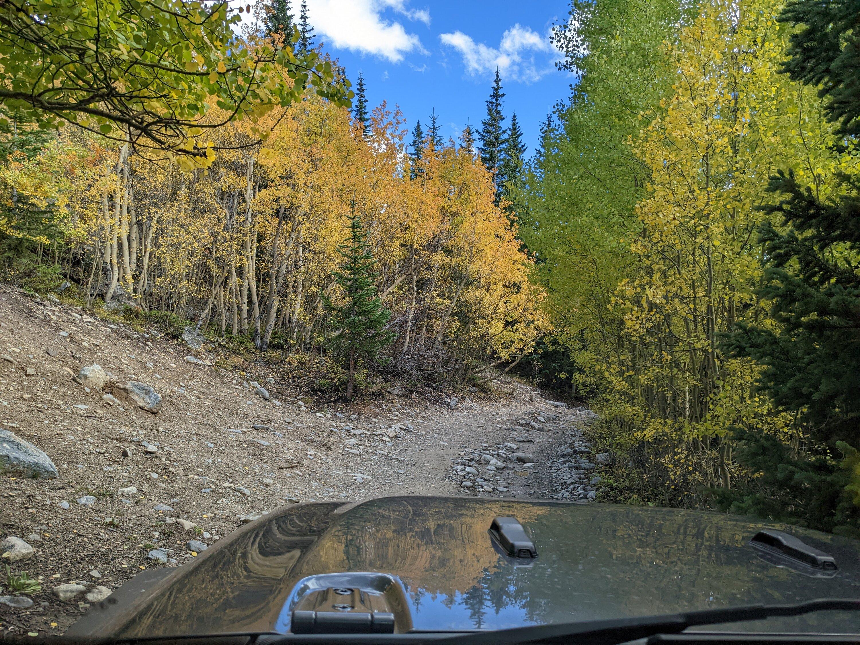 Jeep Gladiator Colorado or Front Range Gladiator owners PXL_20220922_213104840