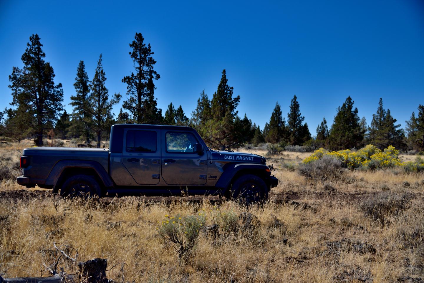 Jeep Gladiator What did you do WITH your Gladiator today? _DSC6284_01.JPG