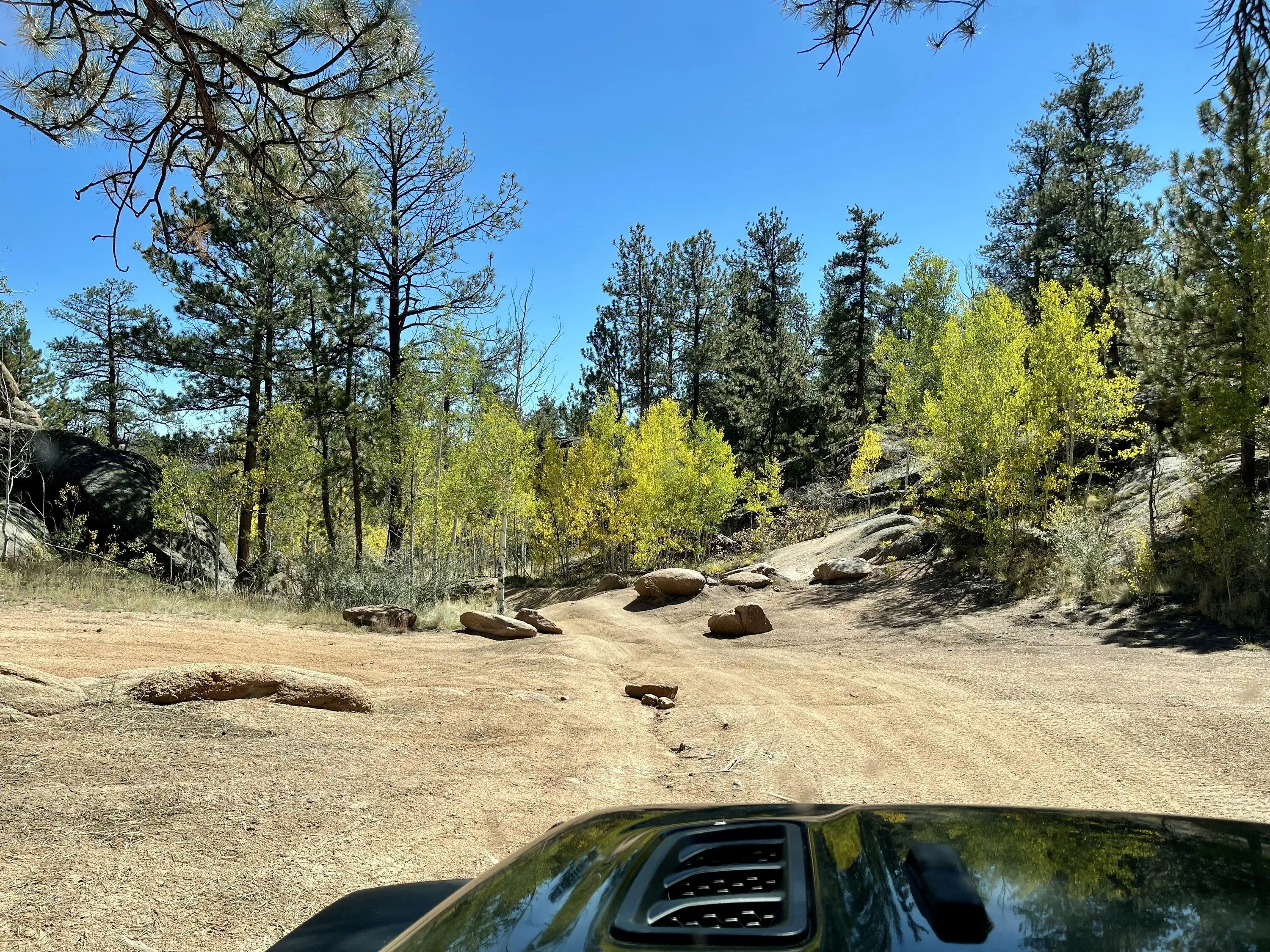 Jeep Gladiator Where did you WHEEL your Gladiator today? FEA157F8-E400-4410-A70C-11C83F9DB1E0