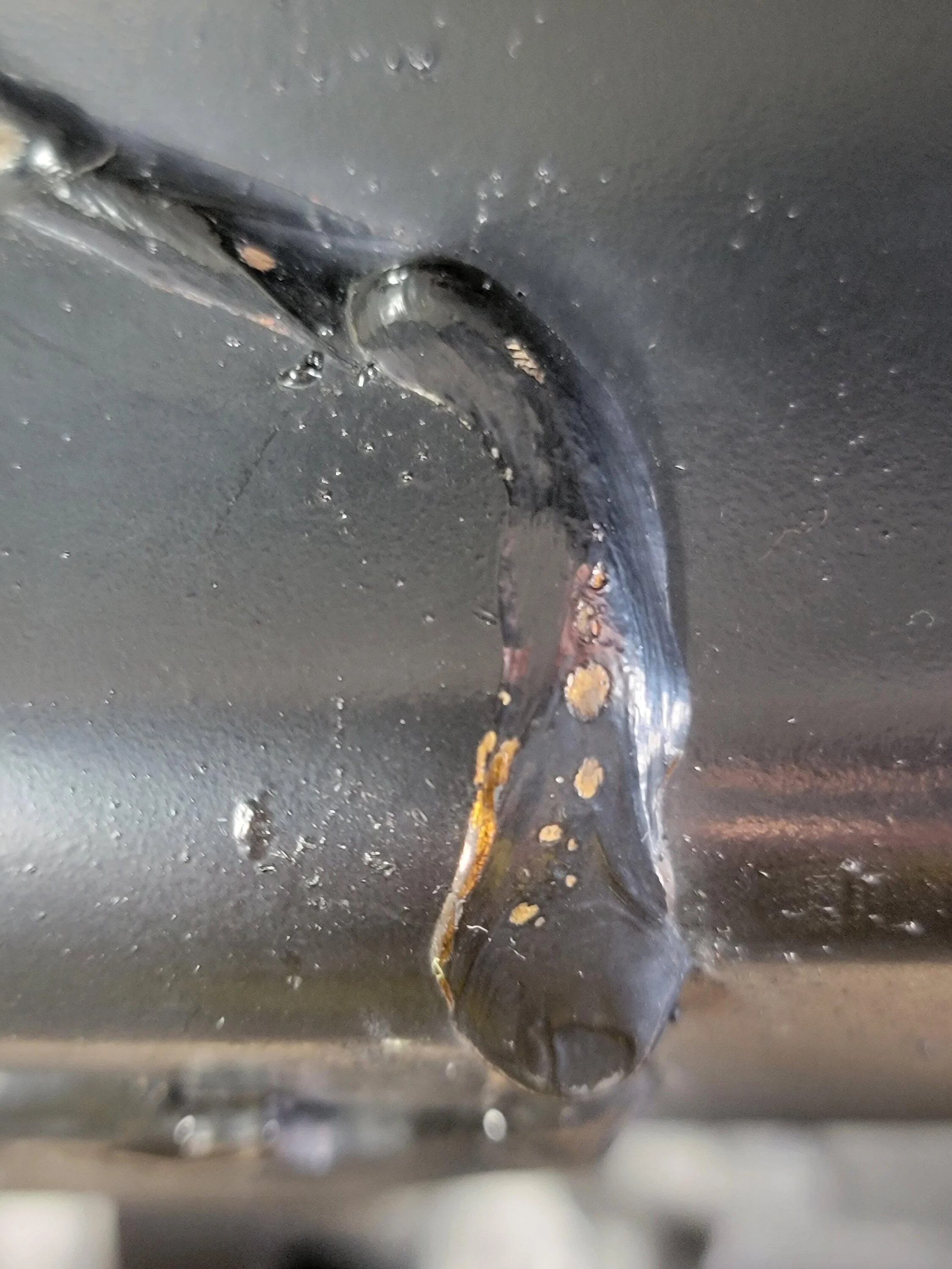 Jeep Gladiator What do you guys use to touch up underneath jeep 20220924_152723
