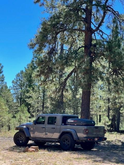 Jeep Gladiator Rigging a cartop carrier over the truck bed JT_forest1
