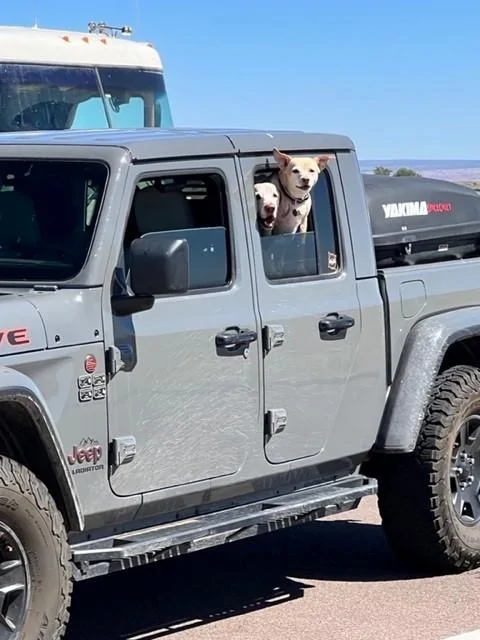 Jeep Gladiator Rigging a cartop carrier over the truck bed JeepDogs