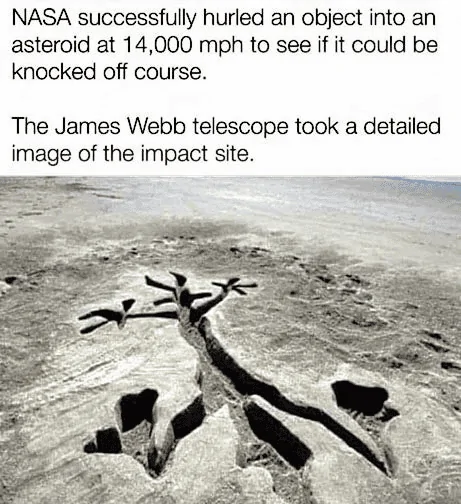1664550972576.png