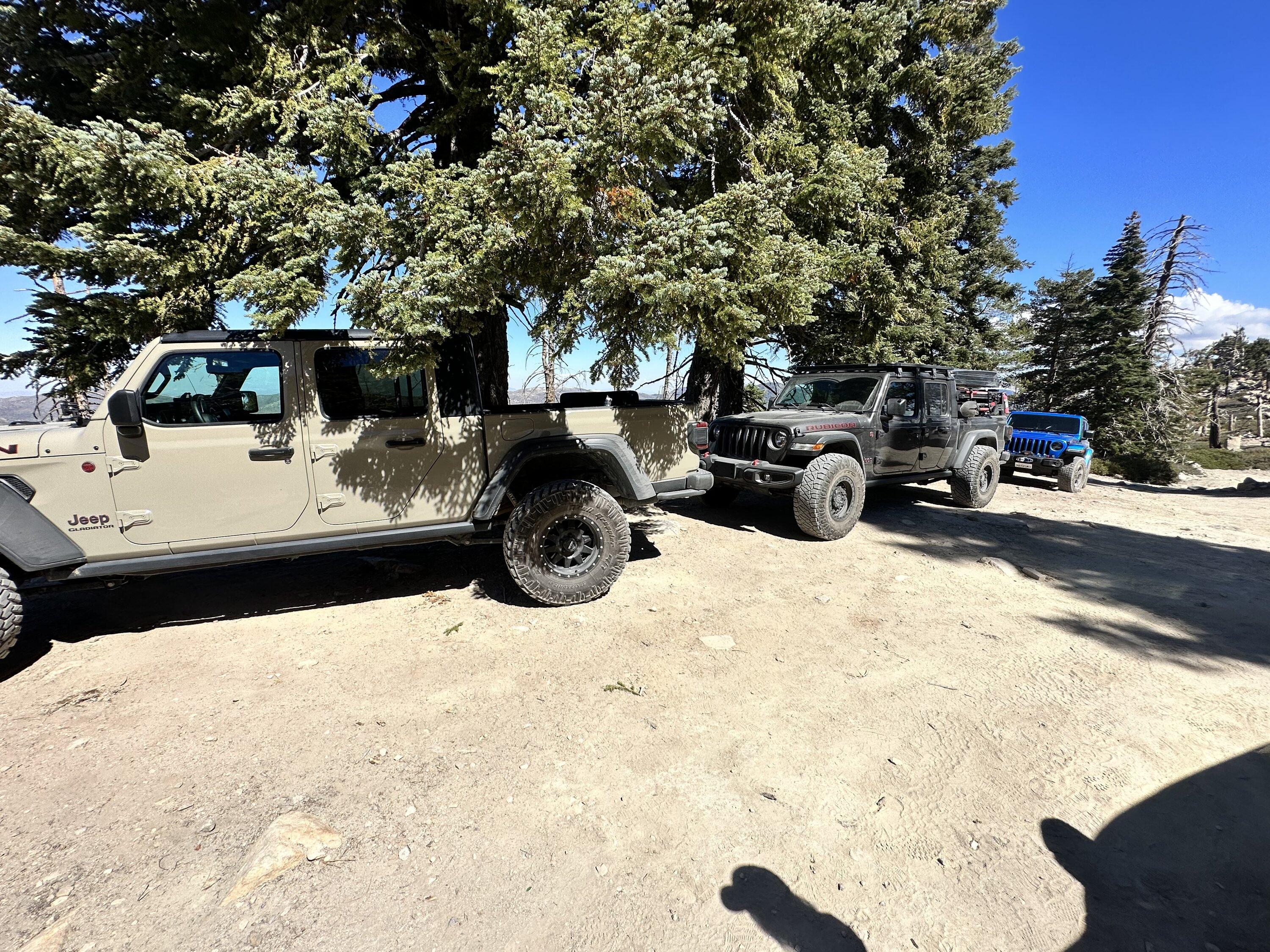 Jeep Gladiator Jeeps Parking Next To Jeeps 443A32D5-A39C-45CC-ABE0-F7795A2A4A12