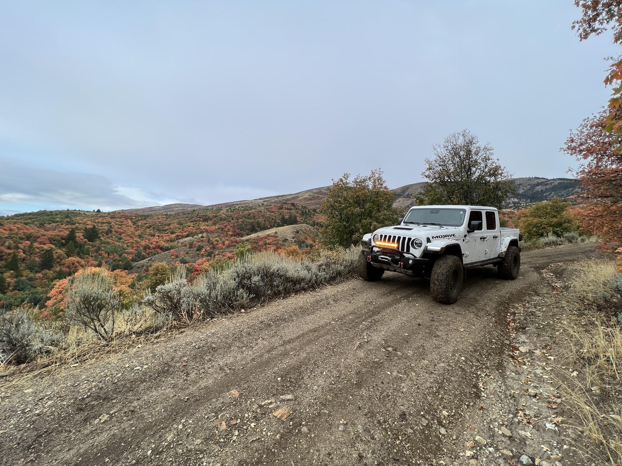 Jeep Gladiator BRIGHT WHITE Gladiator JT Club a4738972-eb45-4022-abe1-6b1c7b4d486b-jpe