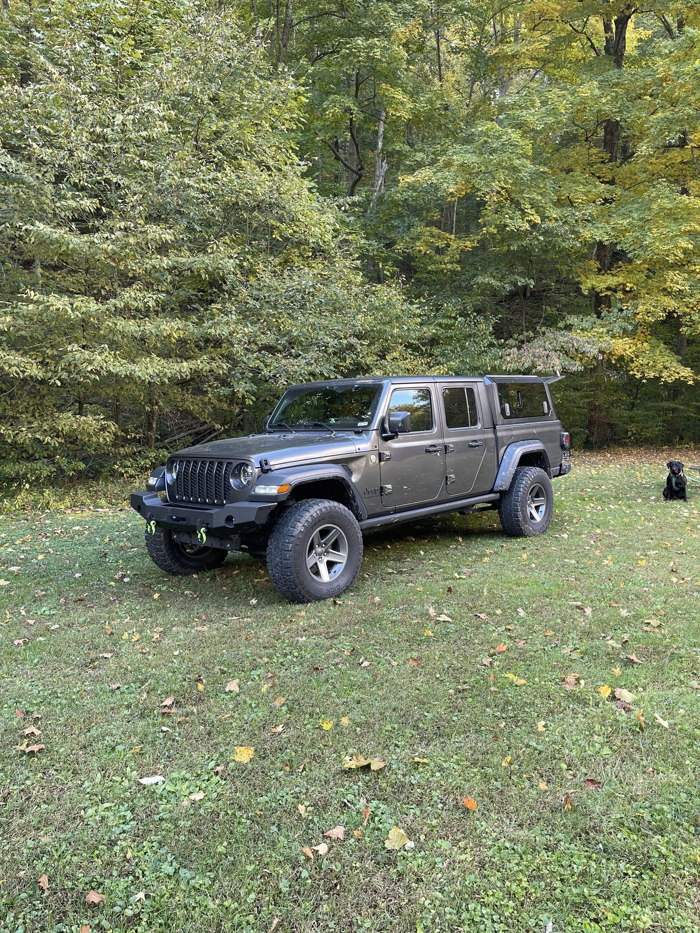 Jeep Gladiator Pet ramp 363B5A27-5E50-4A47-9D01-573A0A29D419