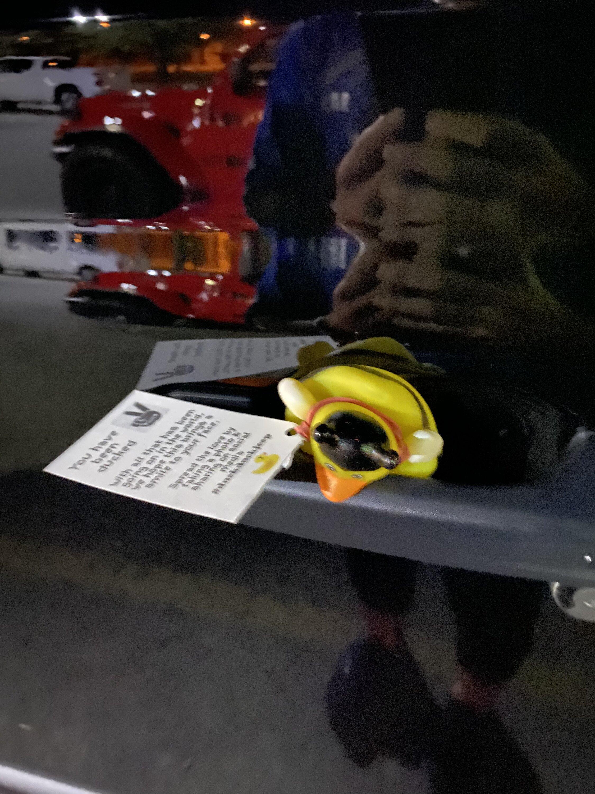 Jeep Gladiator Show me your DUCKS ! 542F1382-6D1E-480E-8F04-3105156978B9