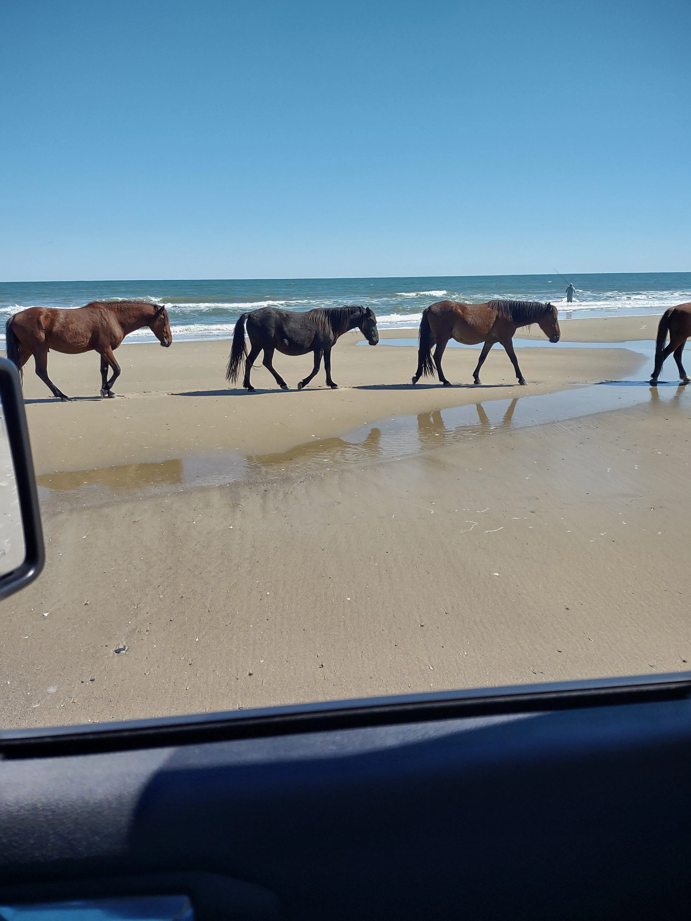 Jeep Gladiator Tips for beach and sand driving. IMG_20221009_115542561_HDR