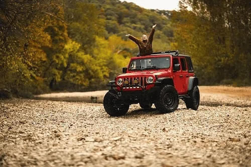 Jeep Gladiator For those of us who need to be a little closer to that fall foliage 1665691778865