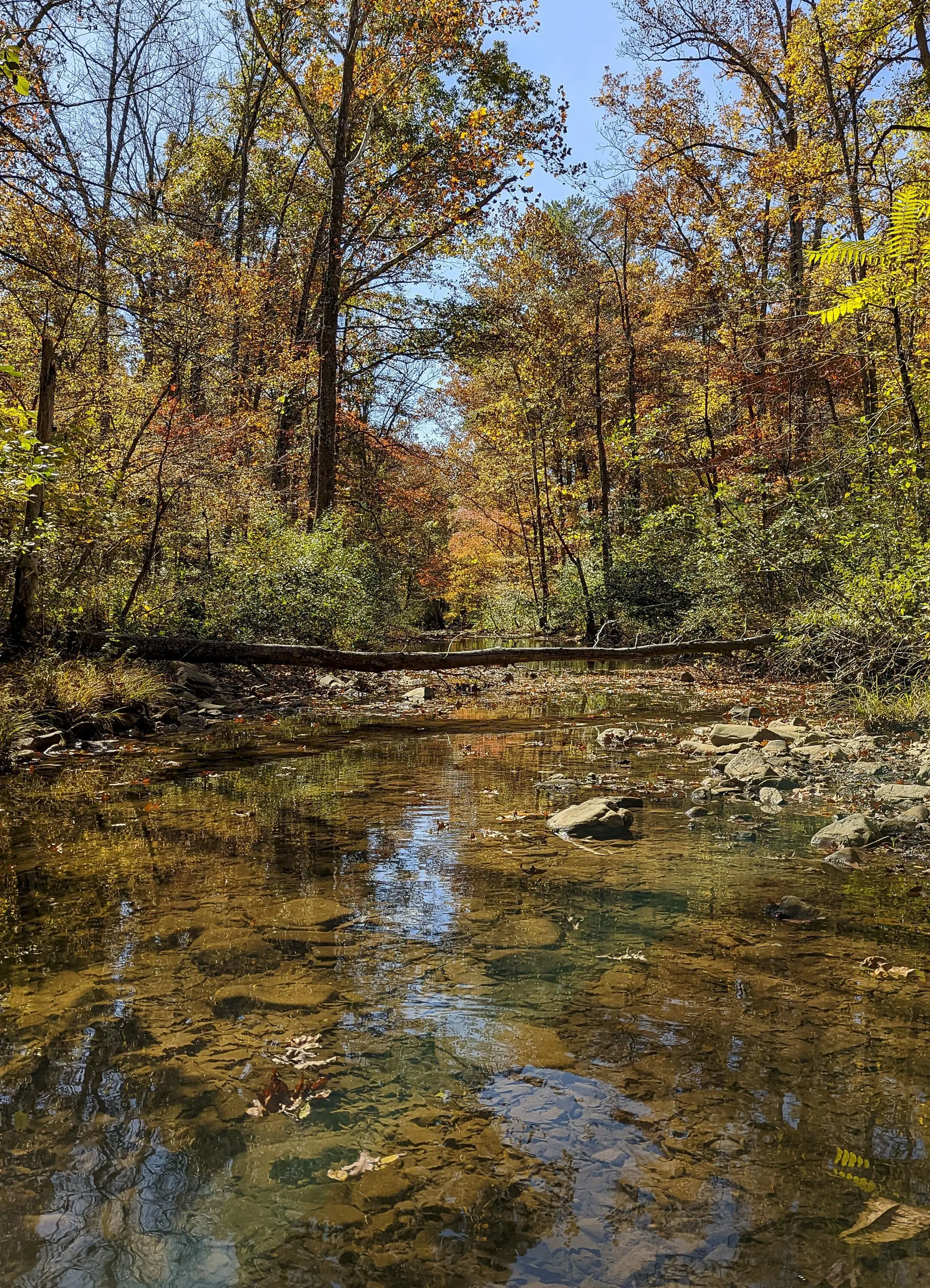 Jeep Gladiator Virginia Highlands Trip for Fall Colors 2022 PXL_20221014_174138568