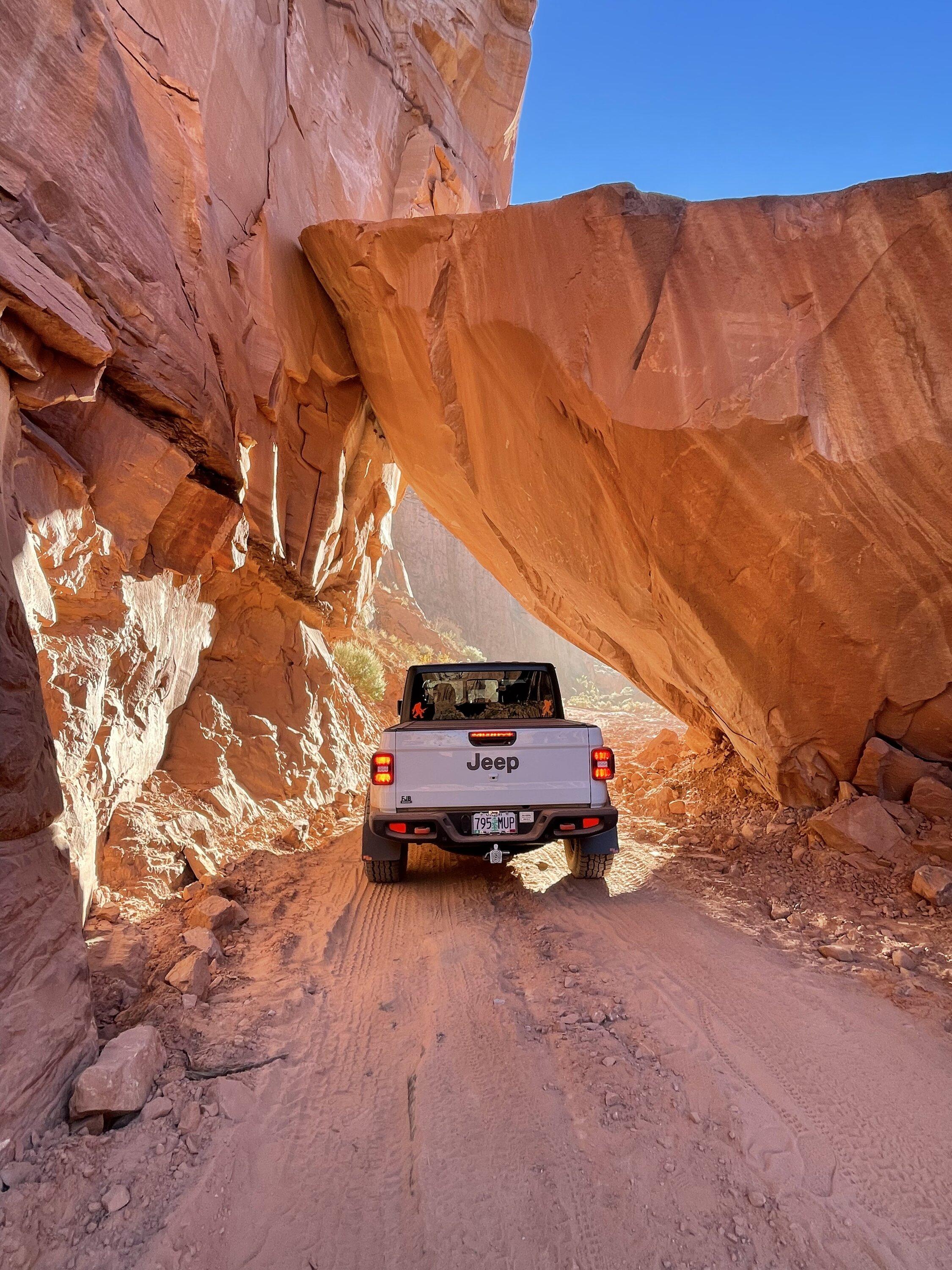 Jeep Gladiator What did you do WITH your Gladiator today? 7F794D6D-F705-43FA-8FE2-D1C2666F2585