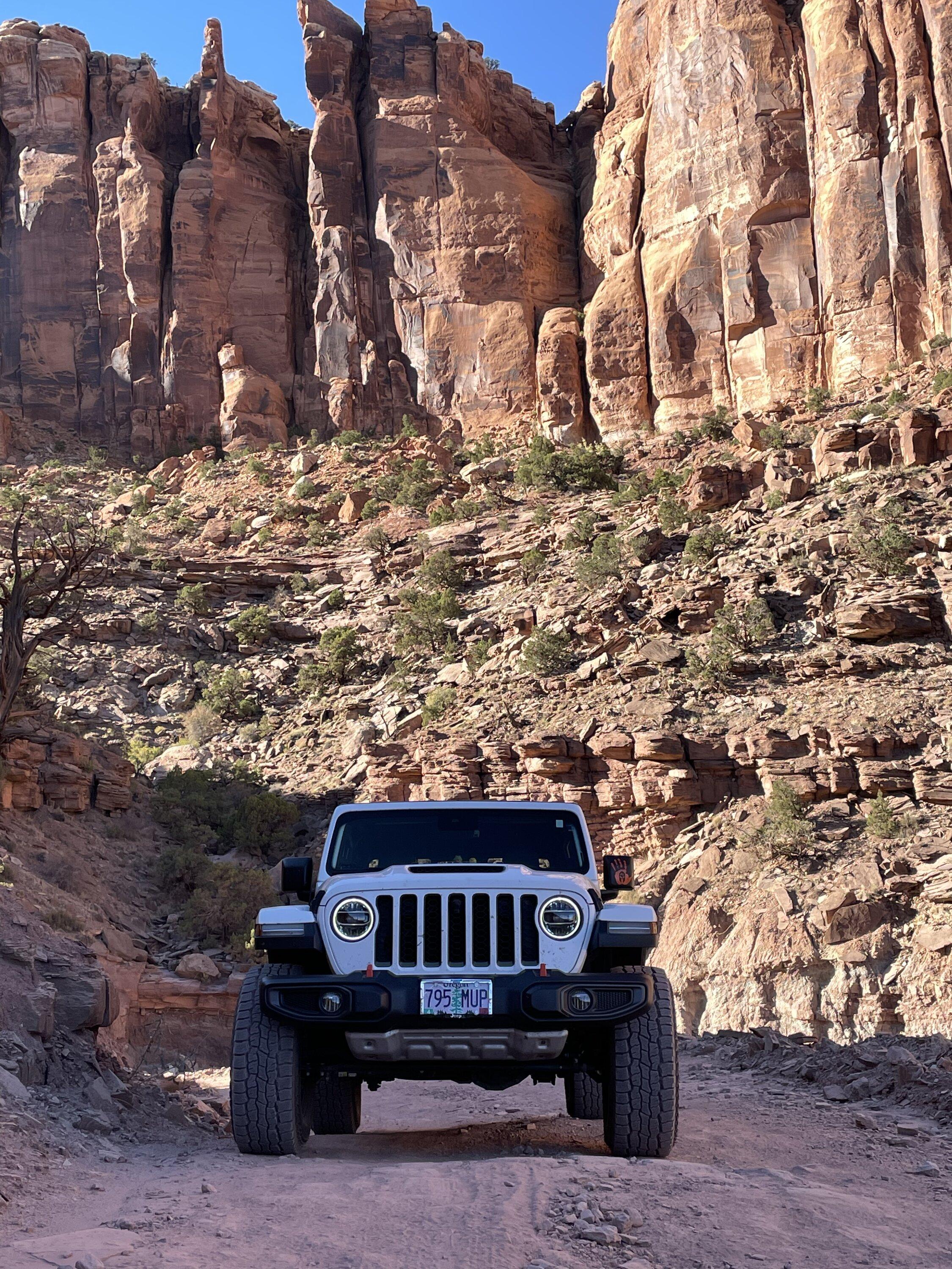 Jeep Gladiator What did you do WITH your Gladiator today? DE1DC563-3C85-44E4-B783-A0BB24203AB8