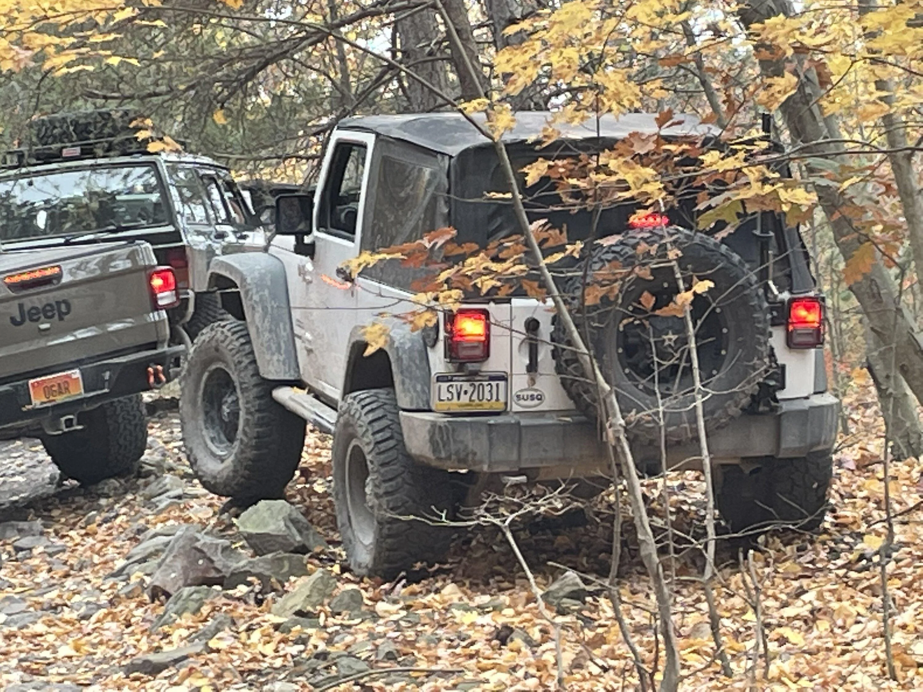 Jeep Gladiator Why not buy a Centerforce dual friction clutch? A3D384E8-D062-4D6D-8F1F-6F6B3251DA74
