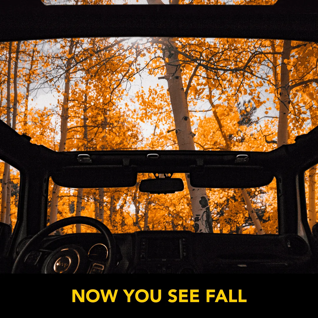 Jeep Gladiator More FALL, please! 1666904081100