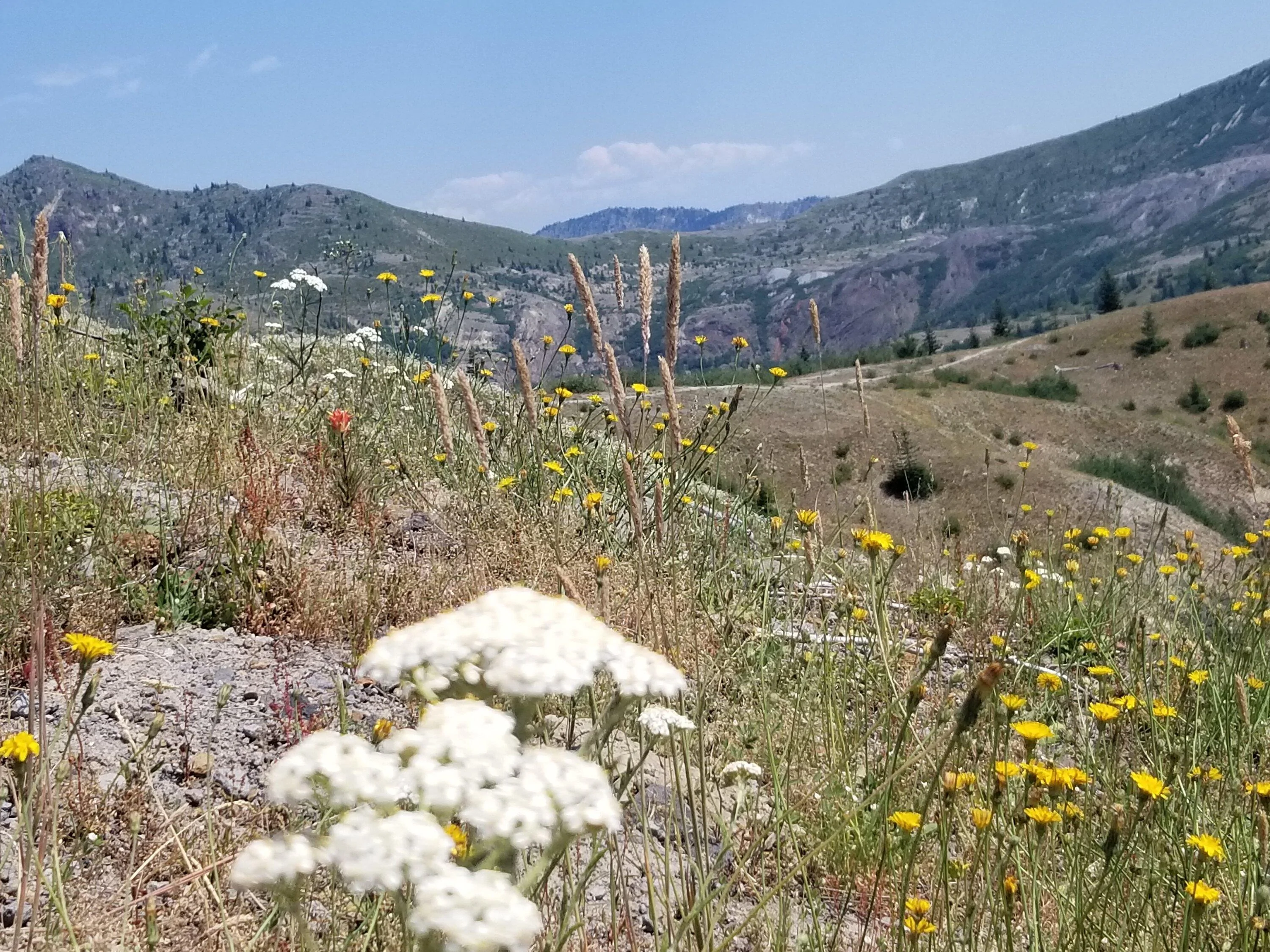 Jeep Gladiator What are some of the best routes you have been on? 20220728_132427