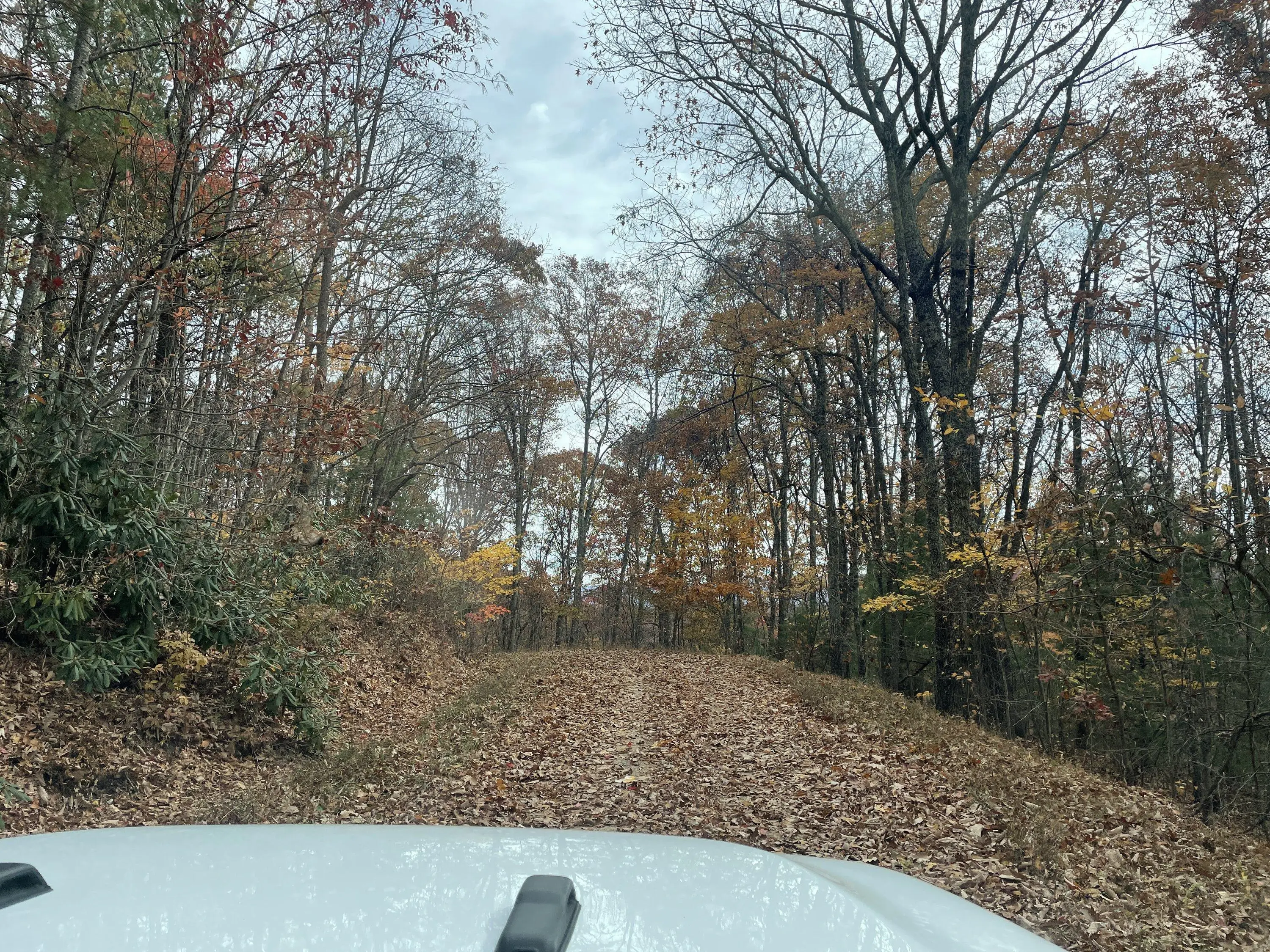 Jeep Gladiator MID ATLANTIC BACKCOUNTRY DISCOVERY ROUTE D1EFD3CA-F892-4AE7-895C-1DBF7312ECC8