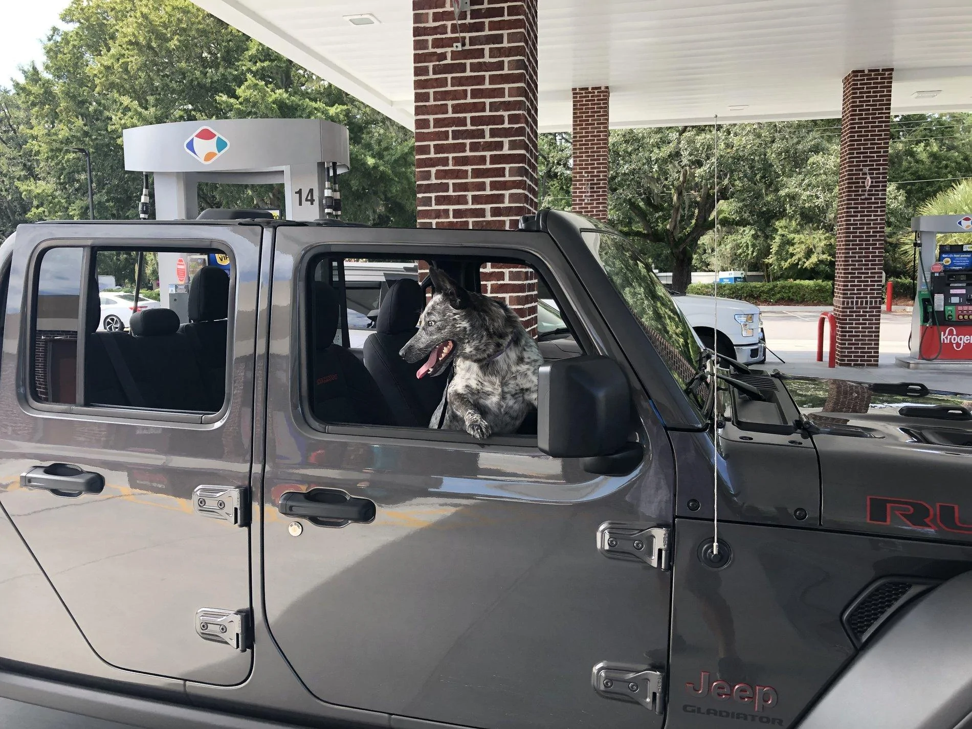 Jeep Gladiator What did you do TO your Gladiator today? [ADMIN WARNING: NO POLITICS, NO GUN TALK] 58BD224E-93DA-4F44-902F-D16E34830EDD