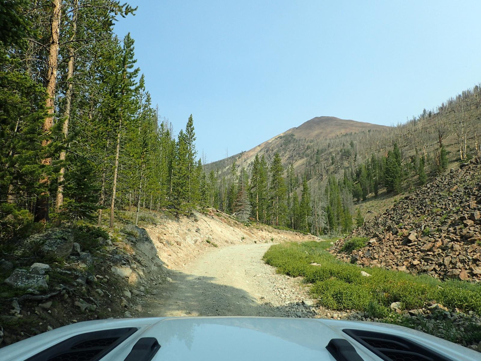Jeep Gladiator Go, Go, Gladiator! i-jd7n5bZ-X3