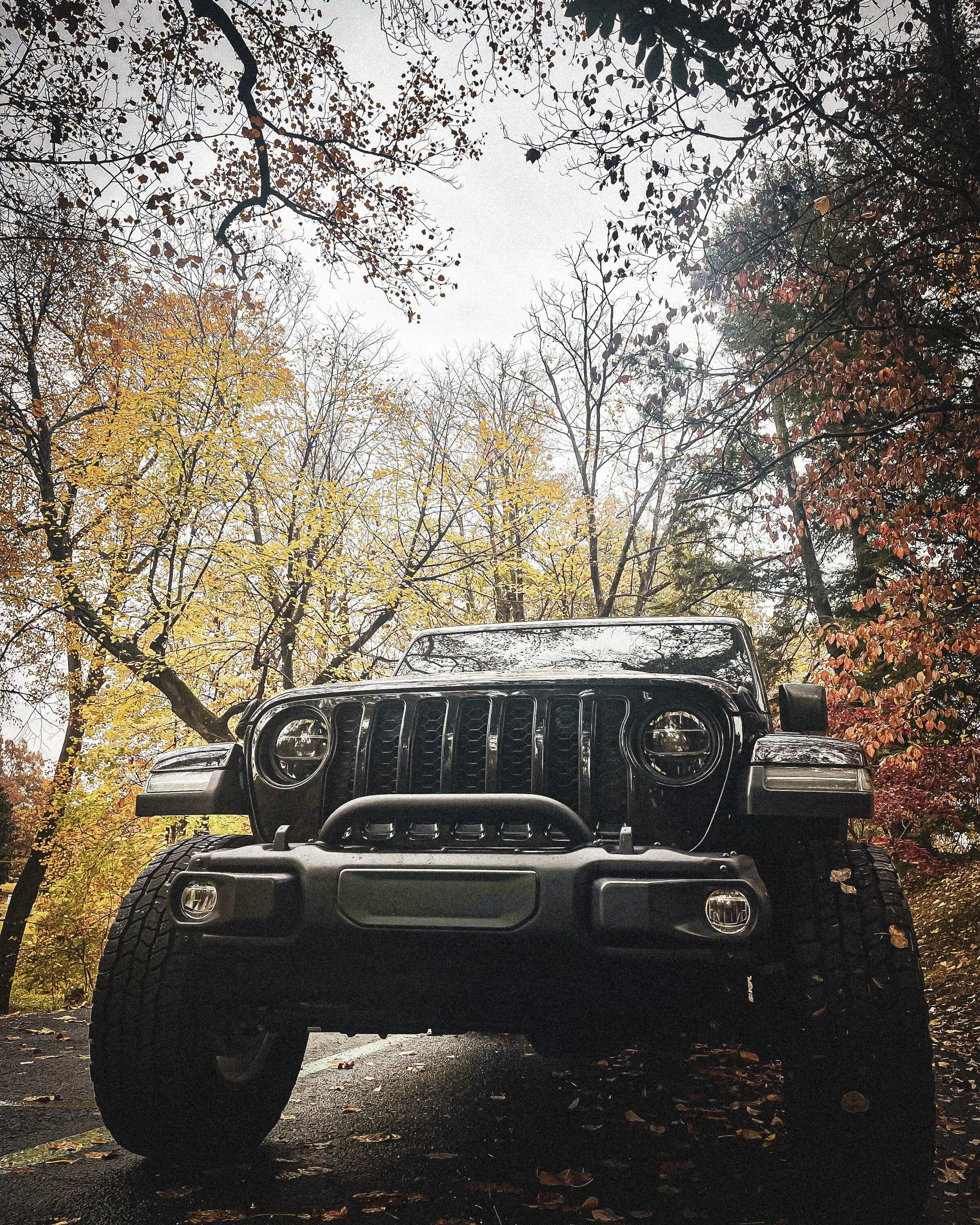 Jeep Gladiator Gladiator Glamour Shots FD4F4D63-6D61-4328-8918-416583CD2263