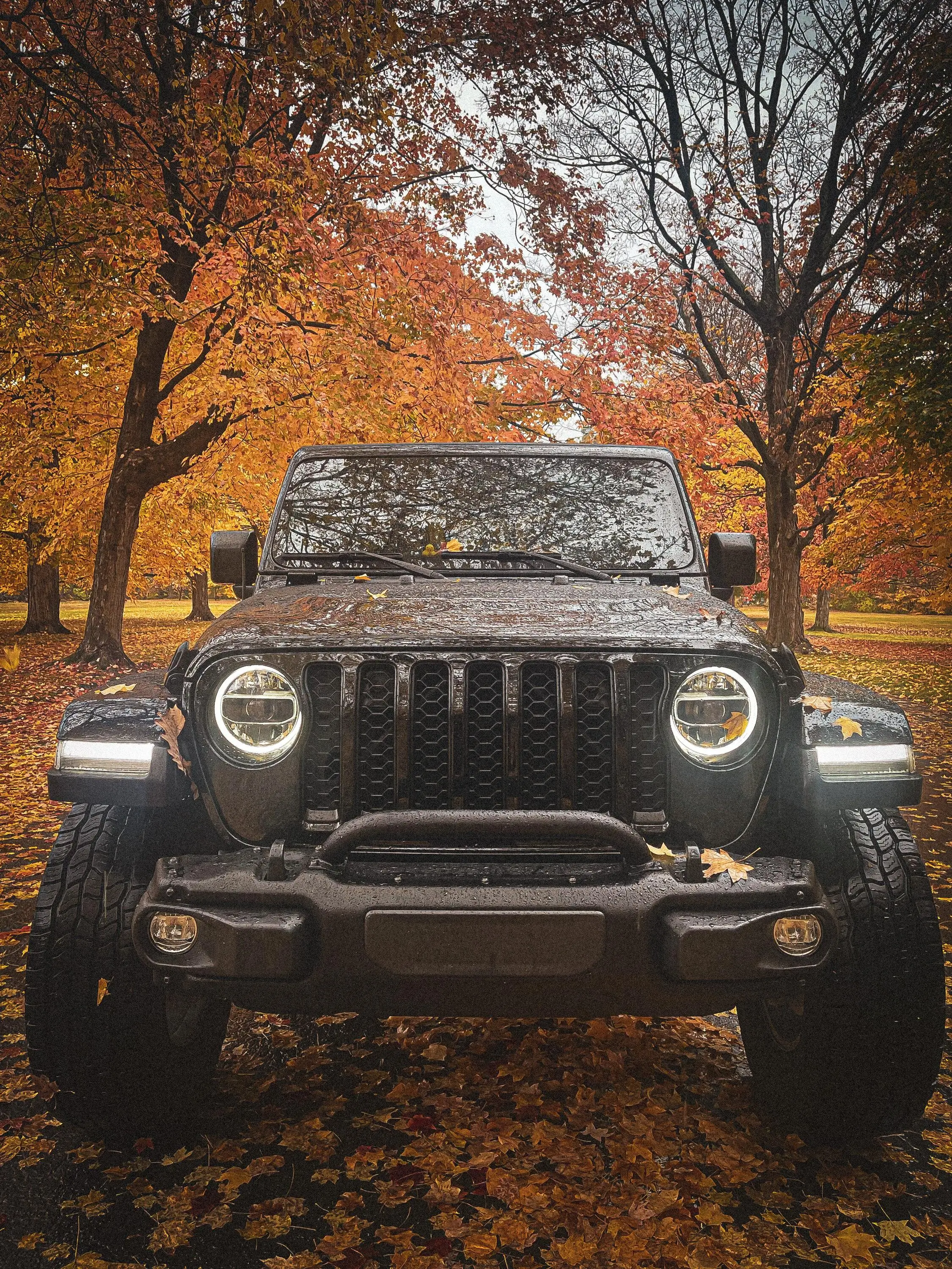 Jeep Gladiator Gladiator Glamour Shots C3EC455C-2412-455F-BB55-518BB8C78383
