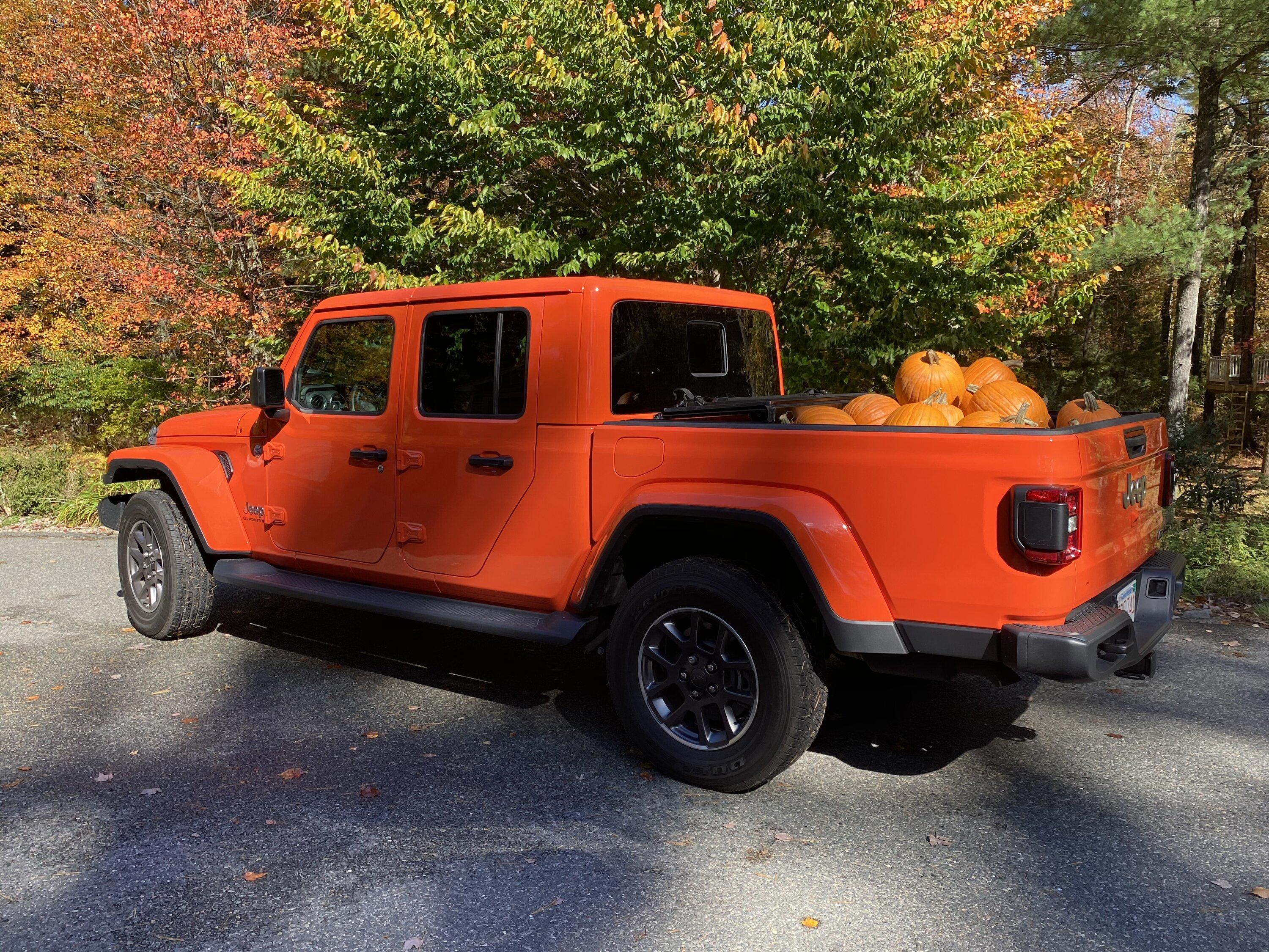 Gladiator Pumpkins 2020.jpg
