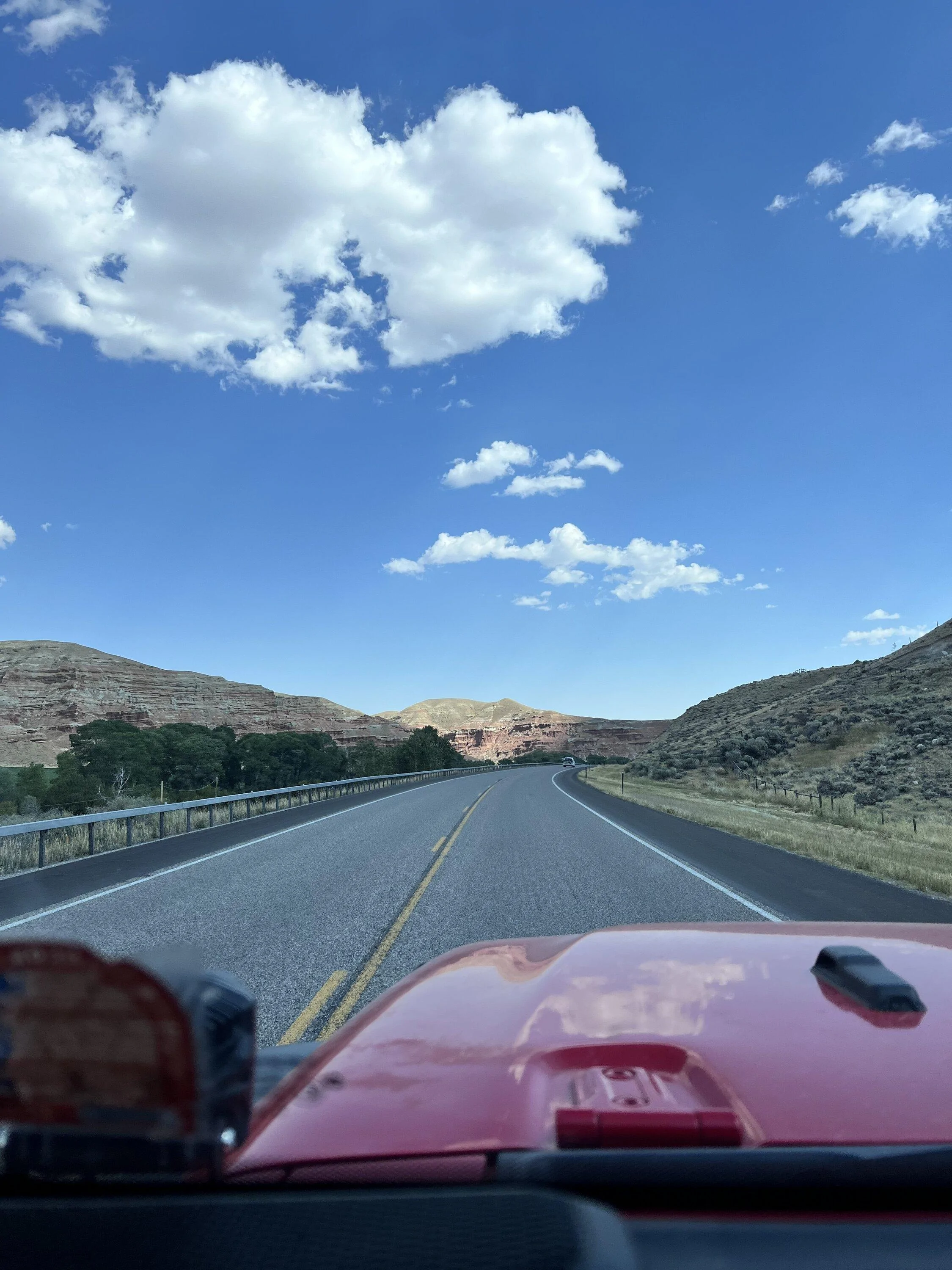 Jeep Gladiator Doing truck stuff in a Jeep!!!!! 47F3301D-43E5-4DA9-91B8-748E7D6EA99A