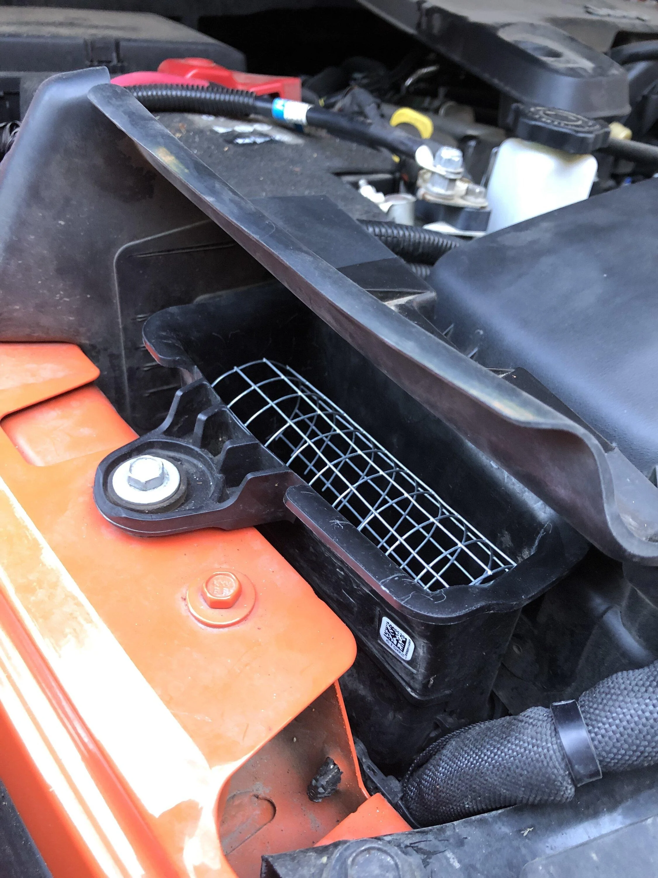 Jeep Gladiator Mice invaded my air box.  Seriously! IMG_2335
