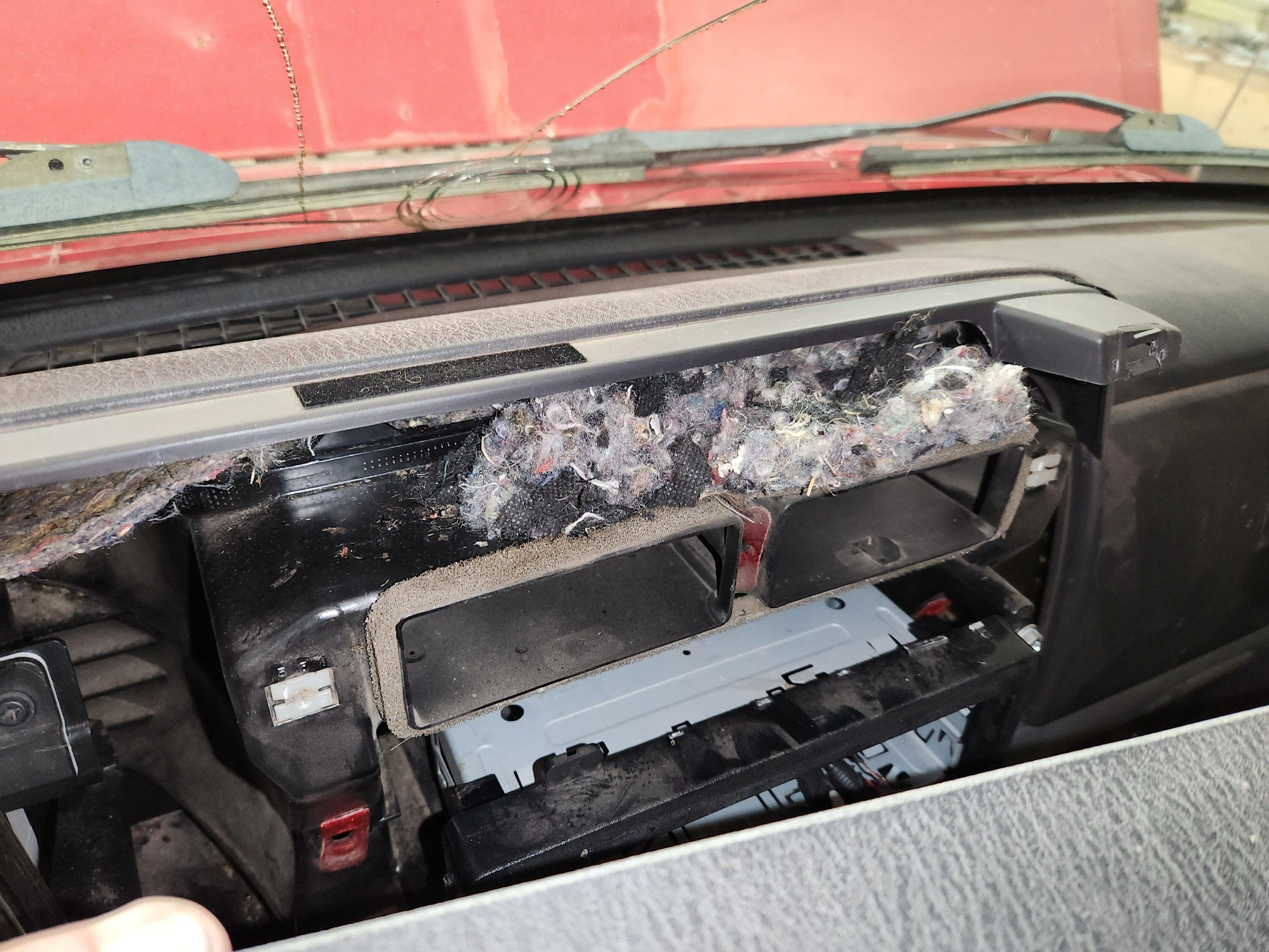 Jeep Gladiator Mice invaded my air box.  Seriously! 20221109_215403