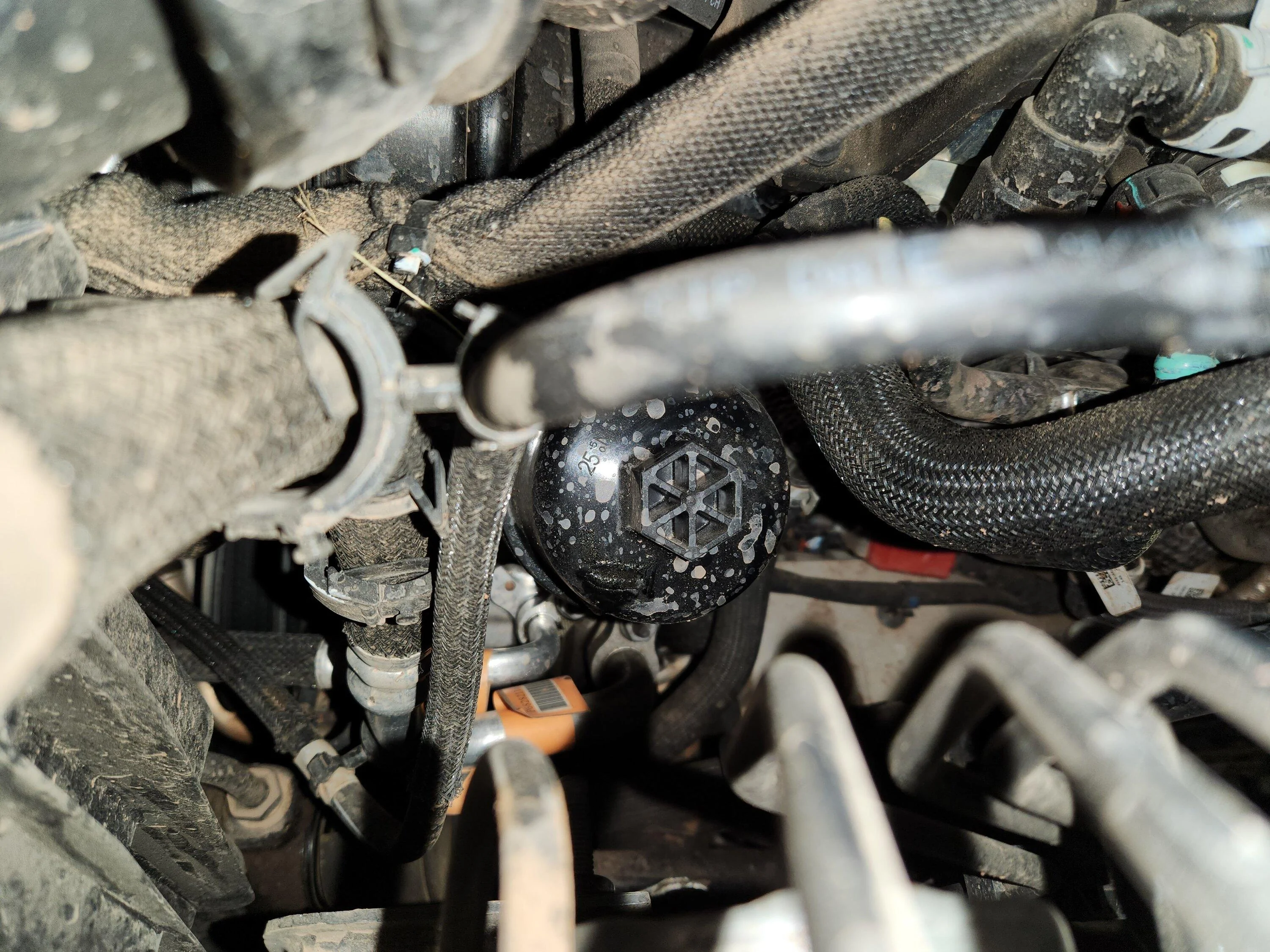 Jeep Gladiator Oil leak 20221121_201553